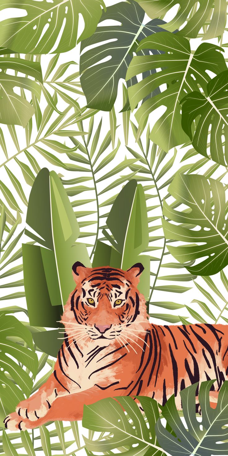 Tropical Animals Wallpapers