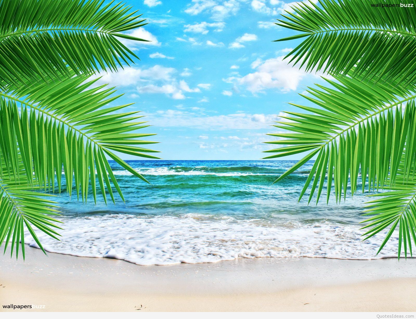 Tropical Beach Wallpapers