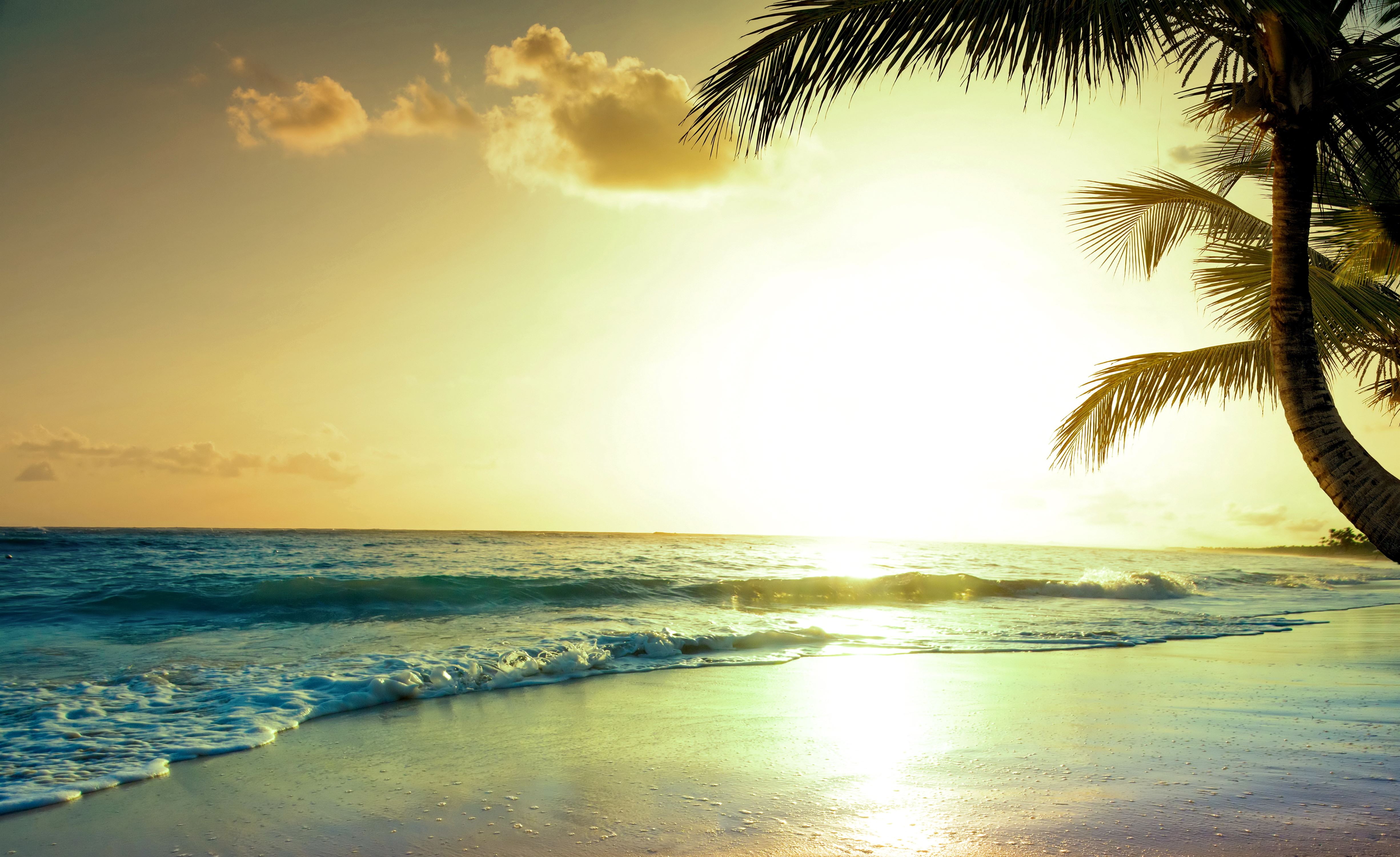 Tropical Beach Wallpapers