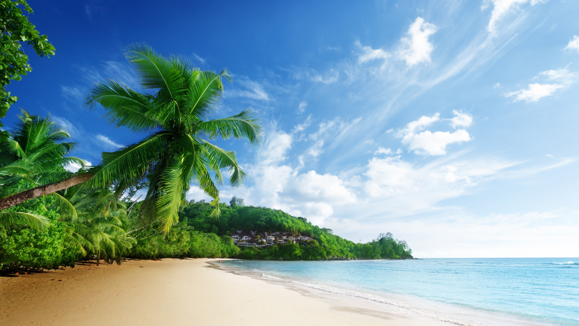 Tropical Beach Wallpapers