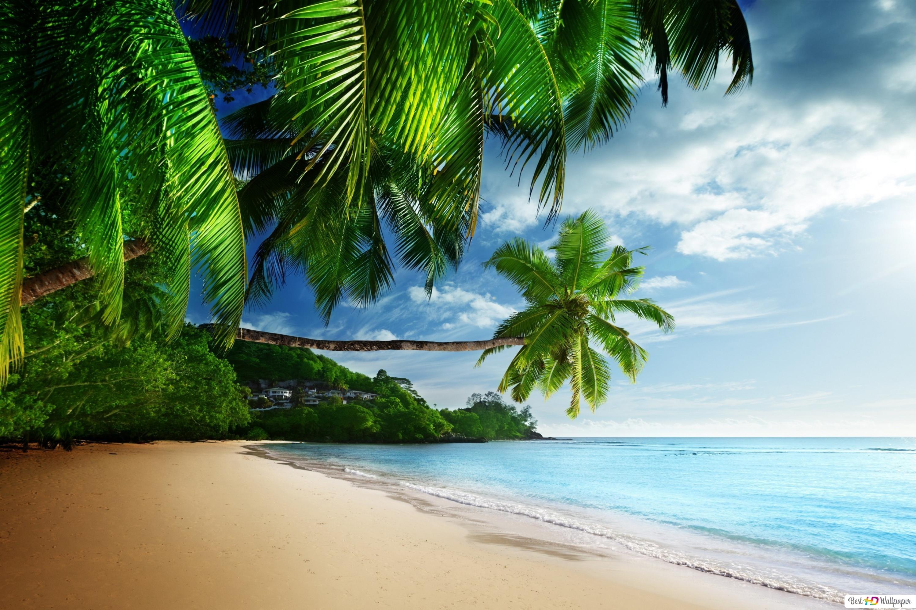 Tropical Beach Wallpapers