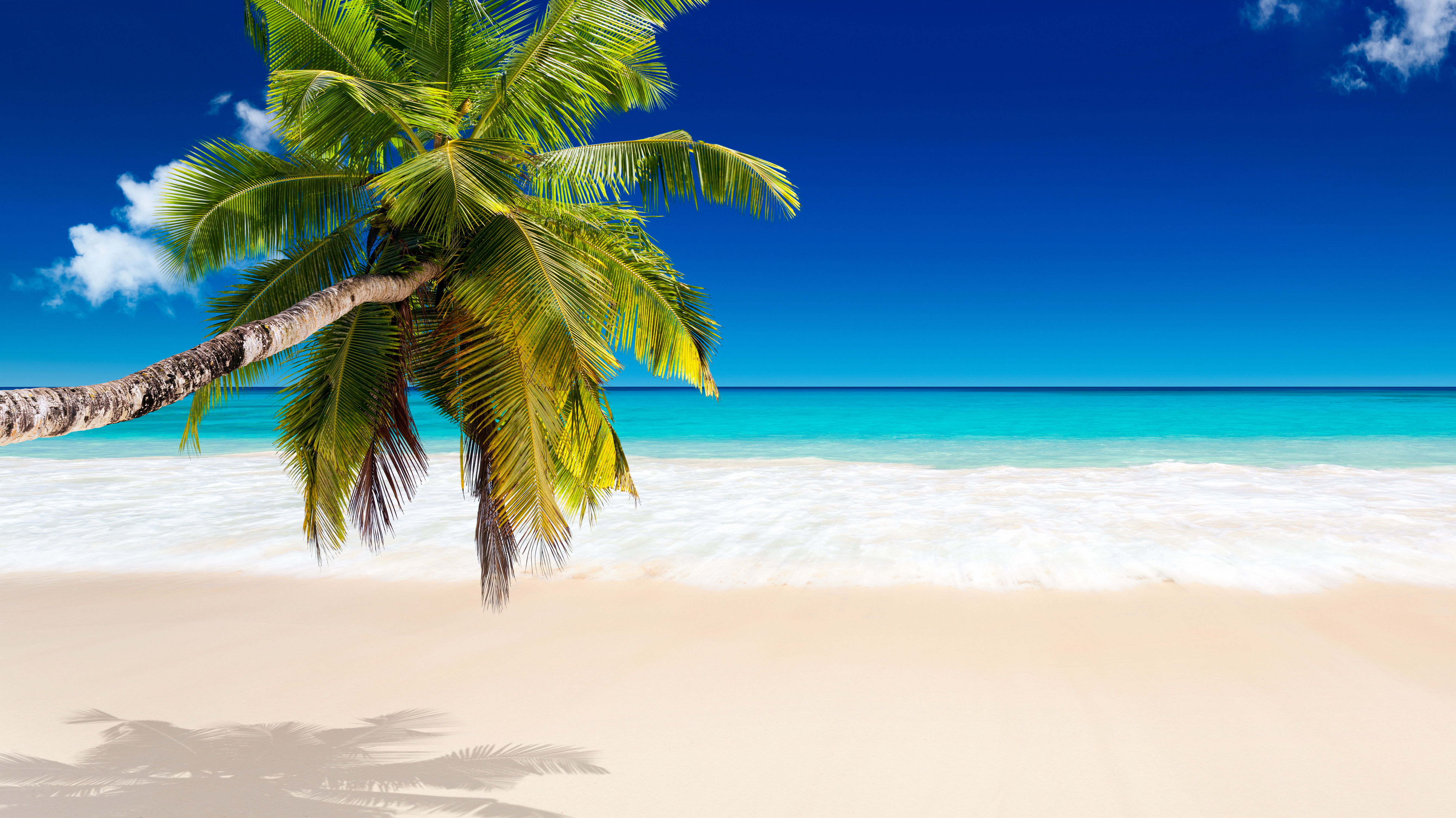 Tropical Beaches Desktop Wallpapers
