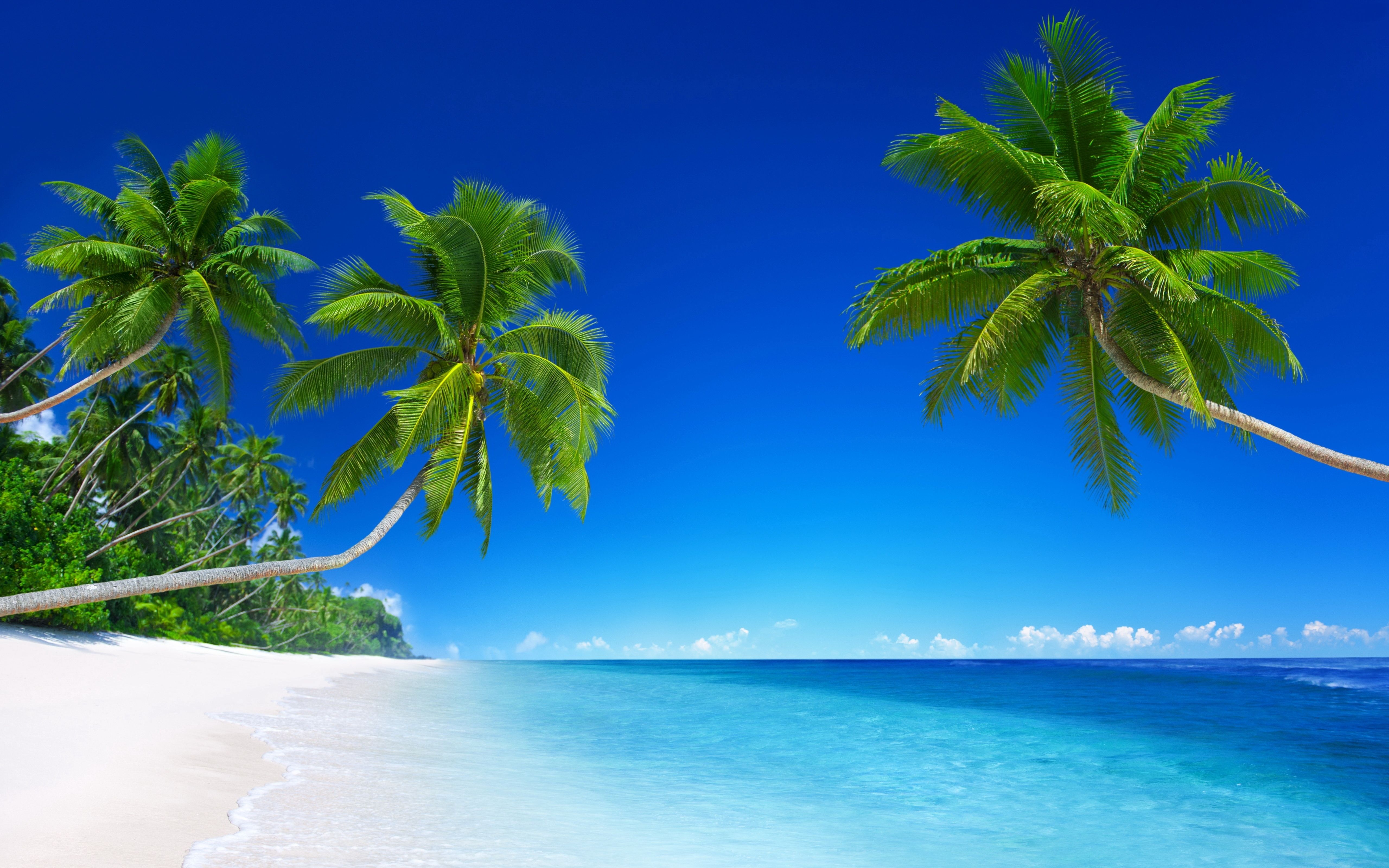 Tropical Beaches Desktop Wallpapers