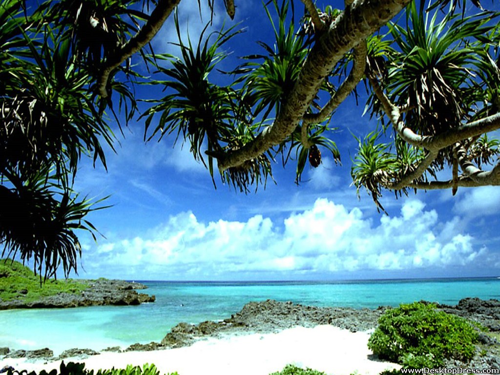 Tropical Beaches Desktop Wallpapers