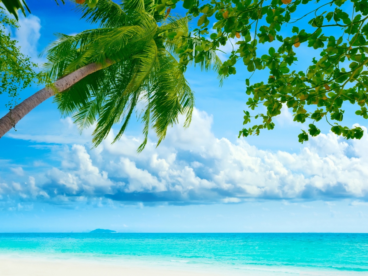 Tropical Beaches Desktop Wallpapers