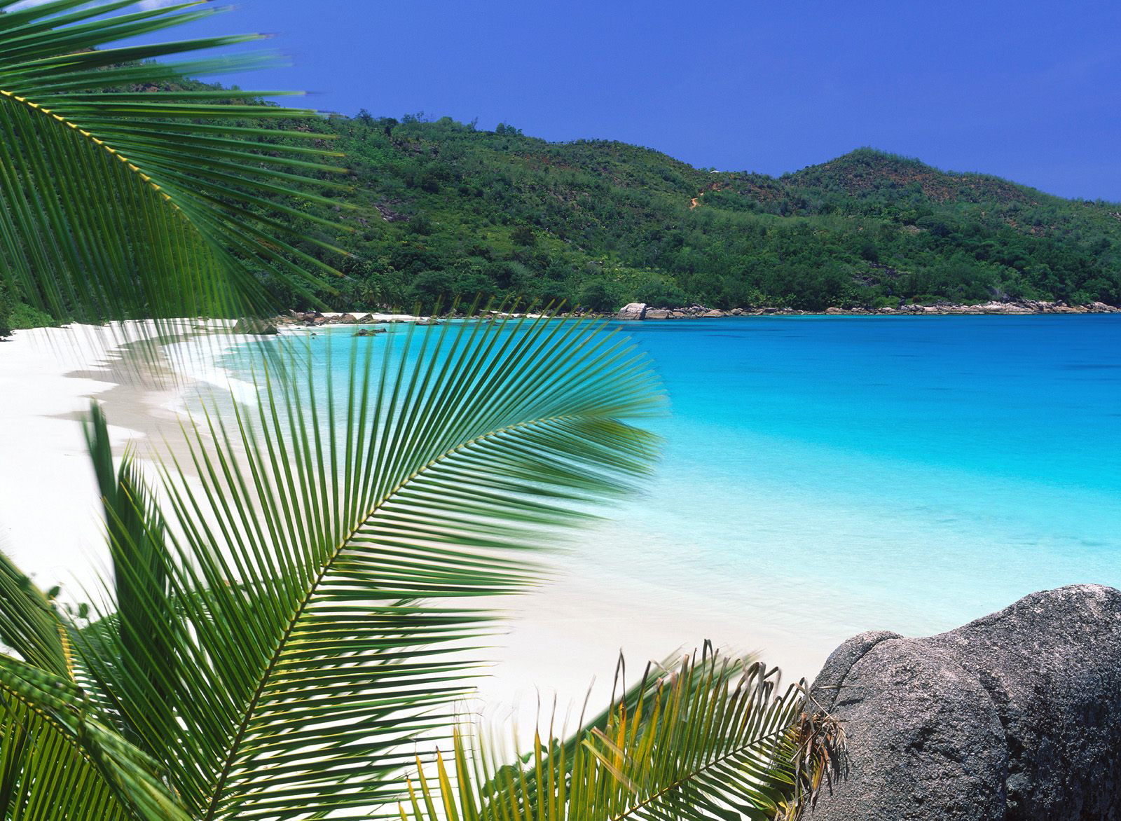 Tropical Beaches Desktop Wallpapers