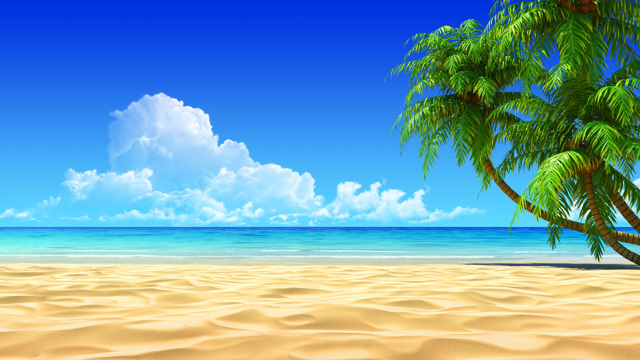 Tropical Beaches Desktop Wallpapers