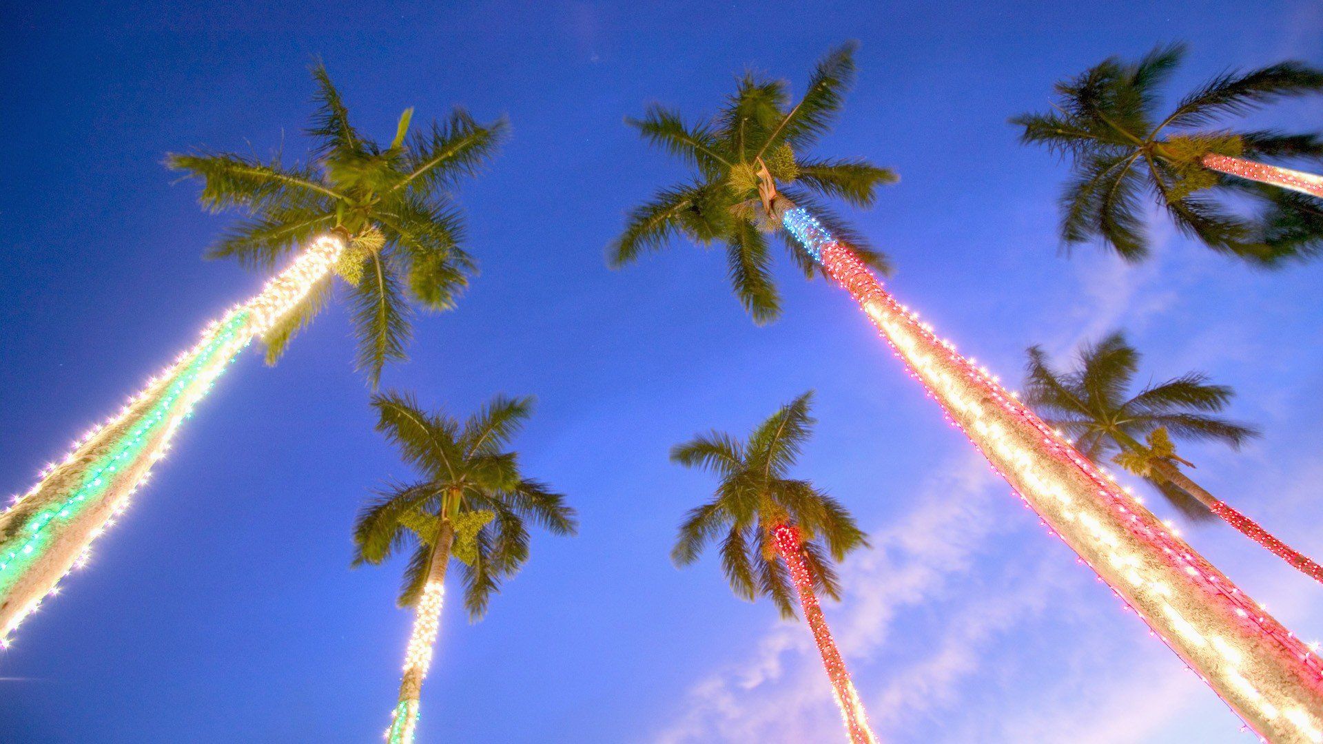 Tropical Christmas Wallpapers