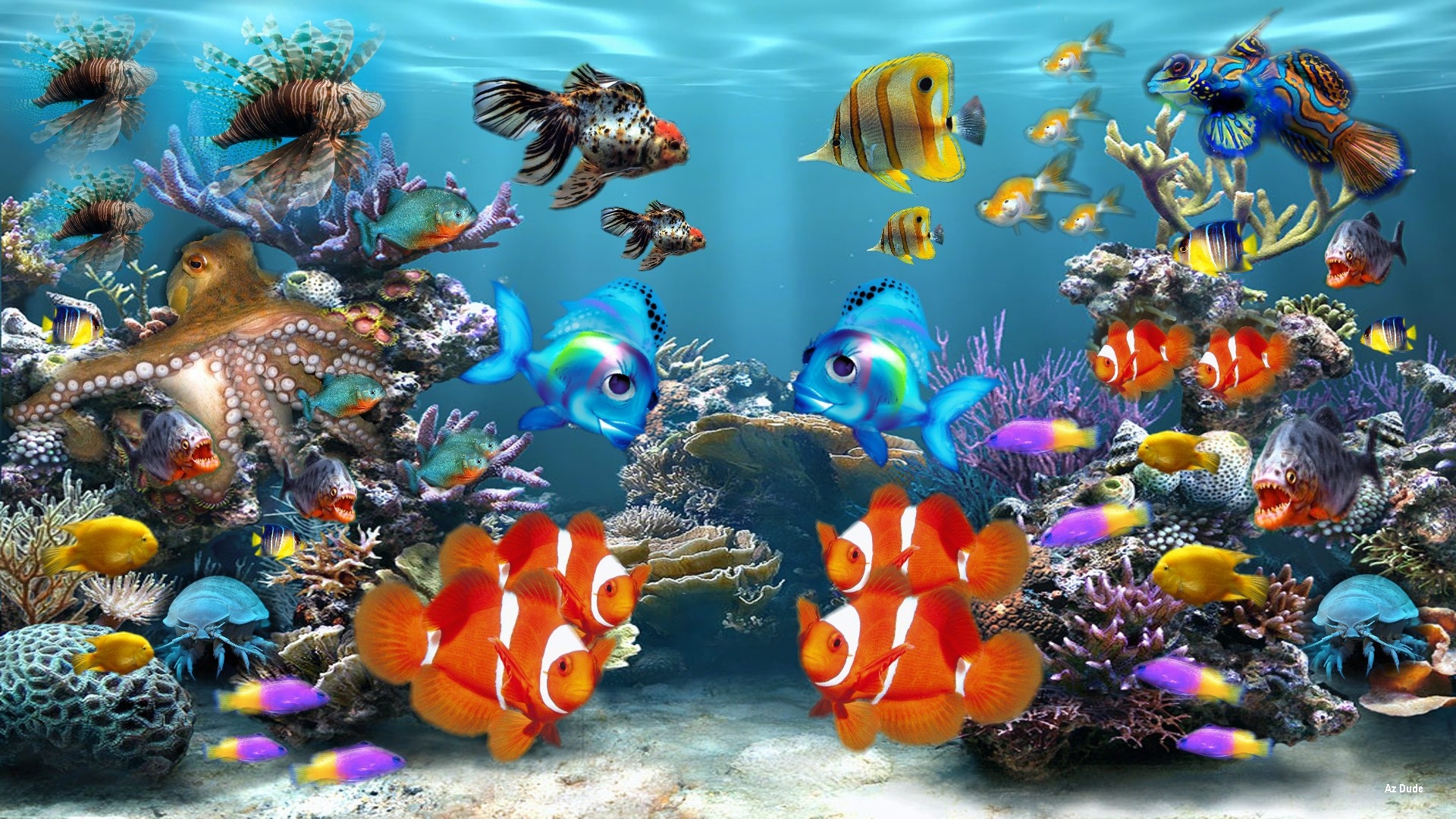 Tropical Fishes Wallpapers