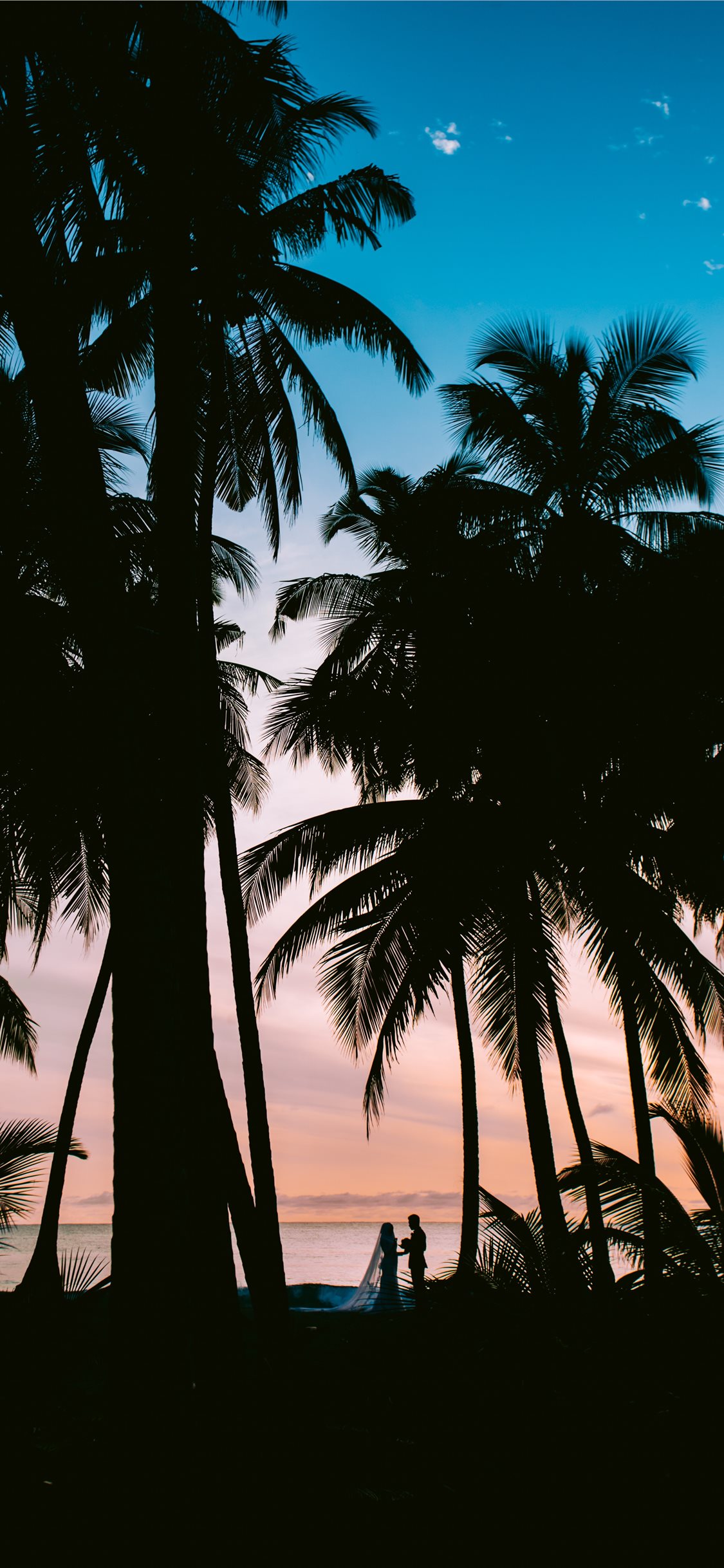 Tropical Iphone Wallpapers