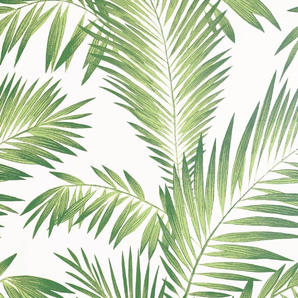 Tropical Print Wallpapers