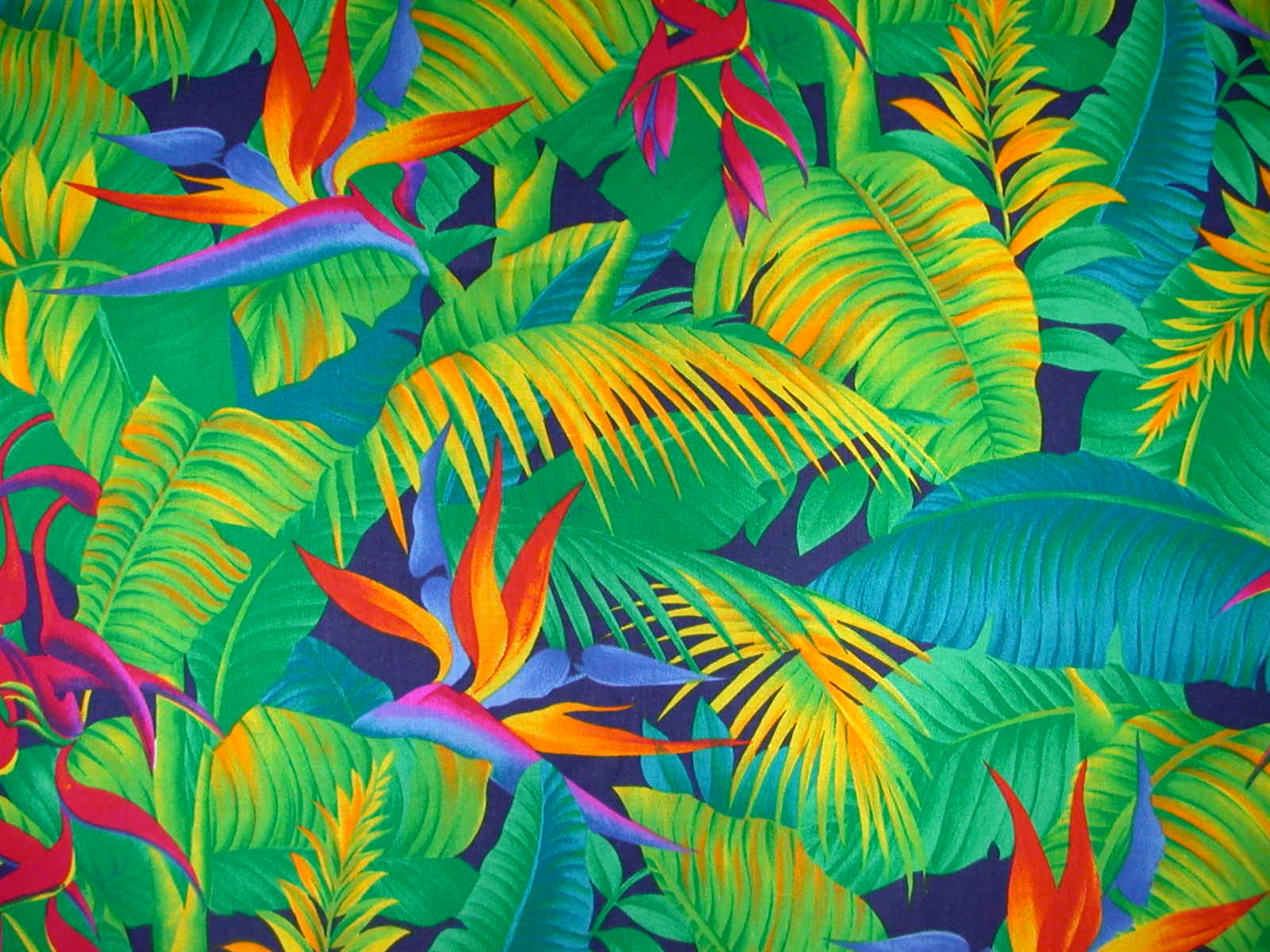 Tropical Print Wallpapers