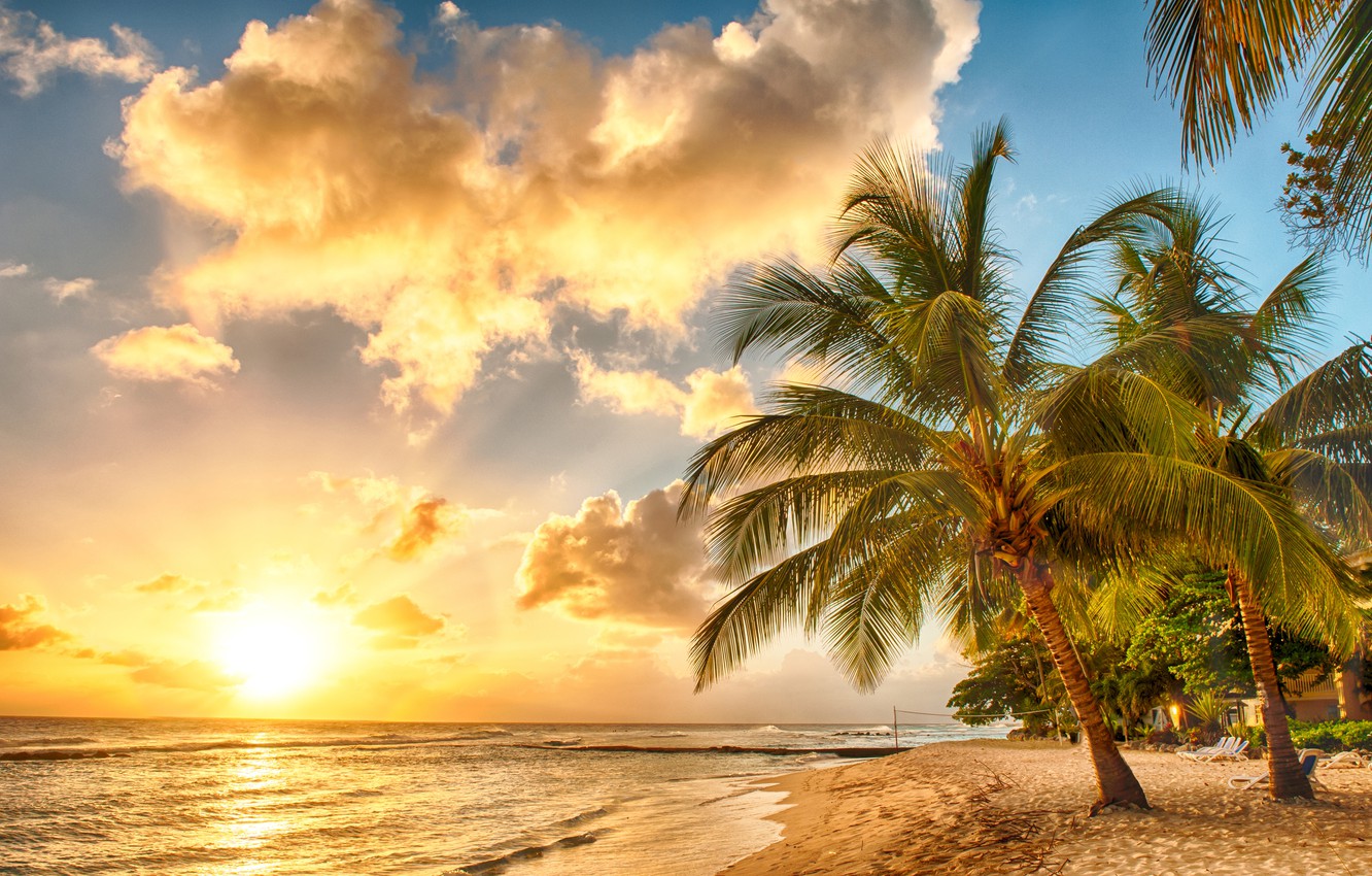 Tropical Sunset Wallpapers