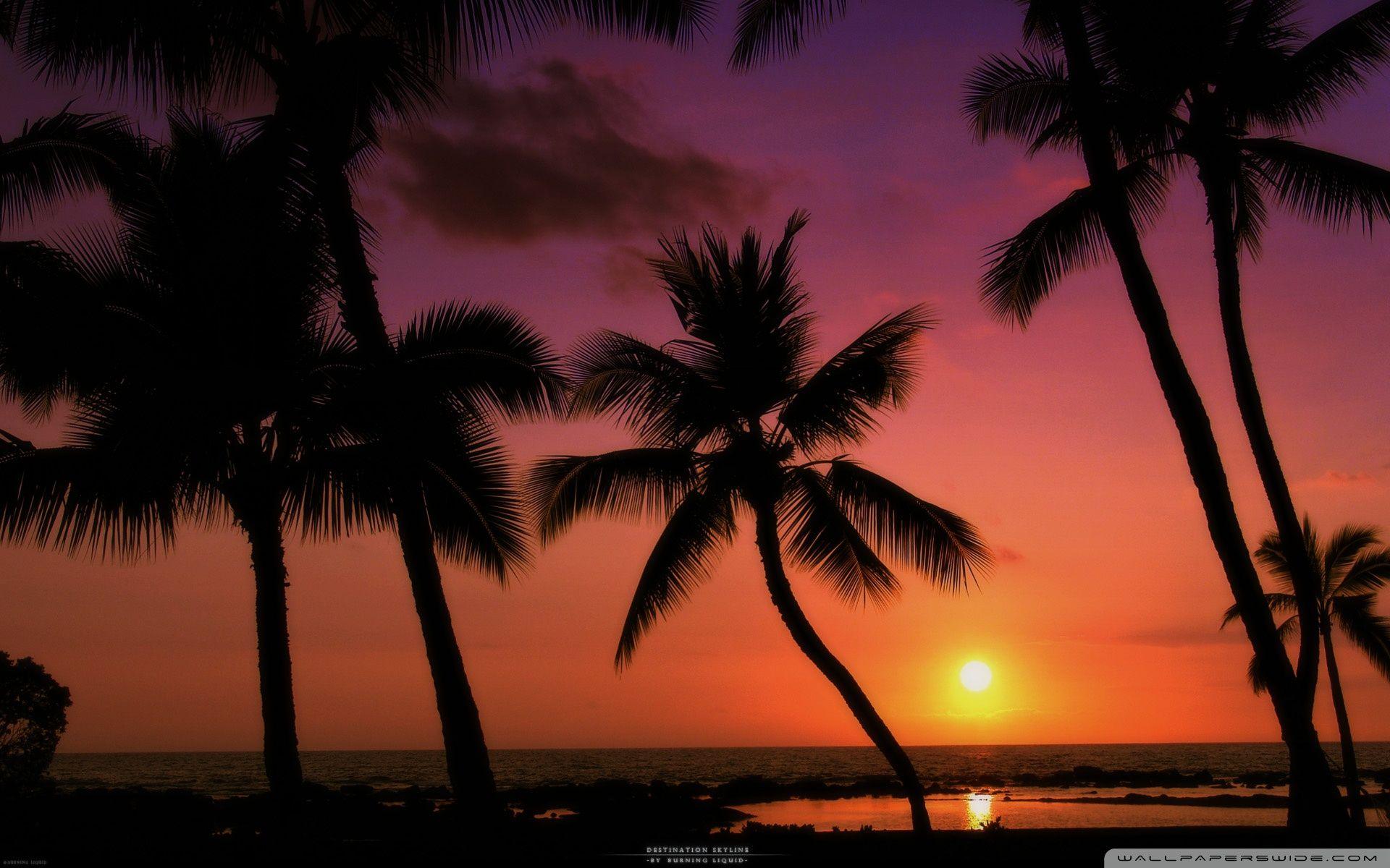 Tropical Sunset Wallpapers