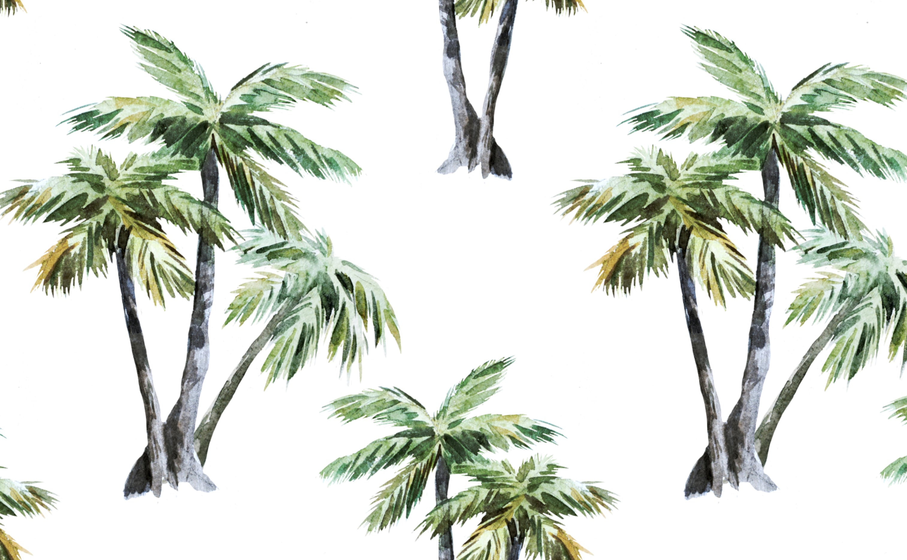 Tropical Tree Wallpapers