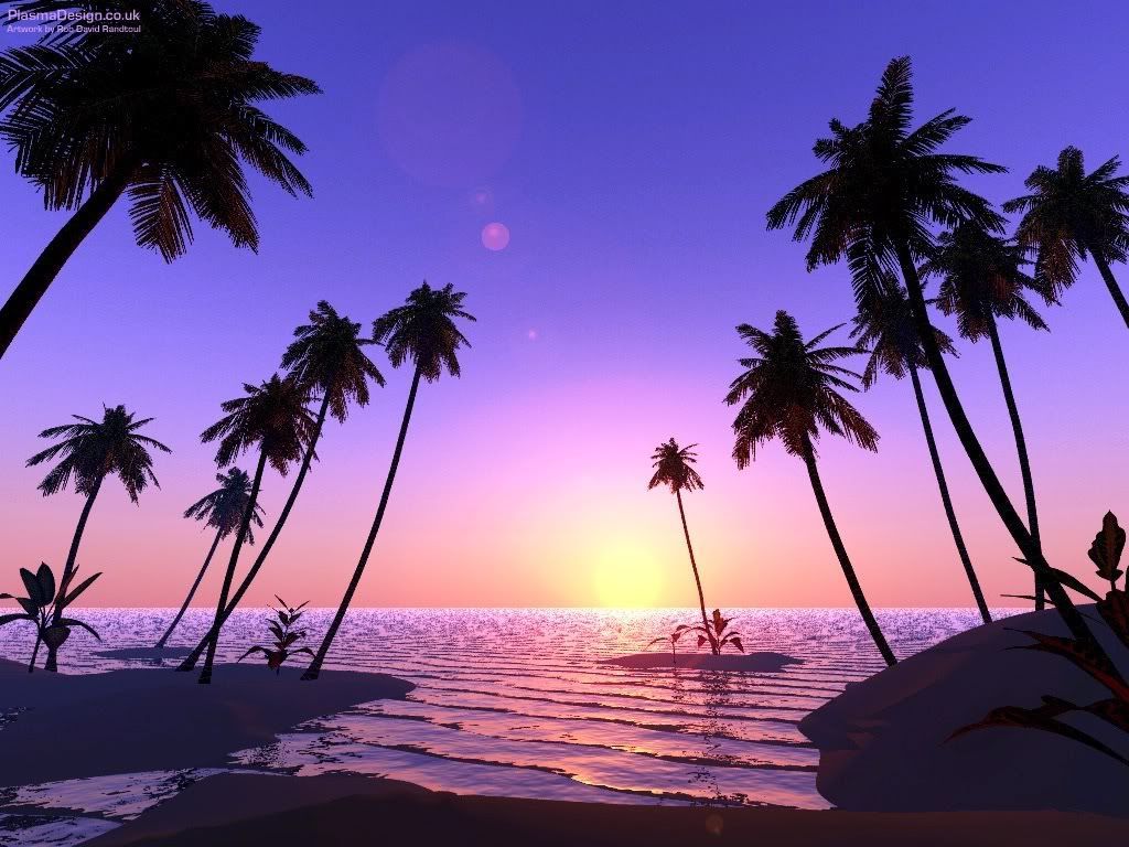 Tropical Tree Wallpapers