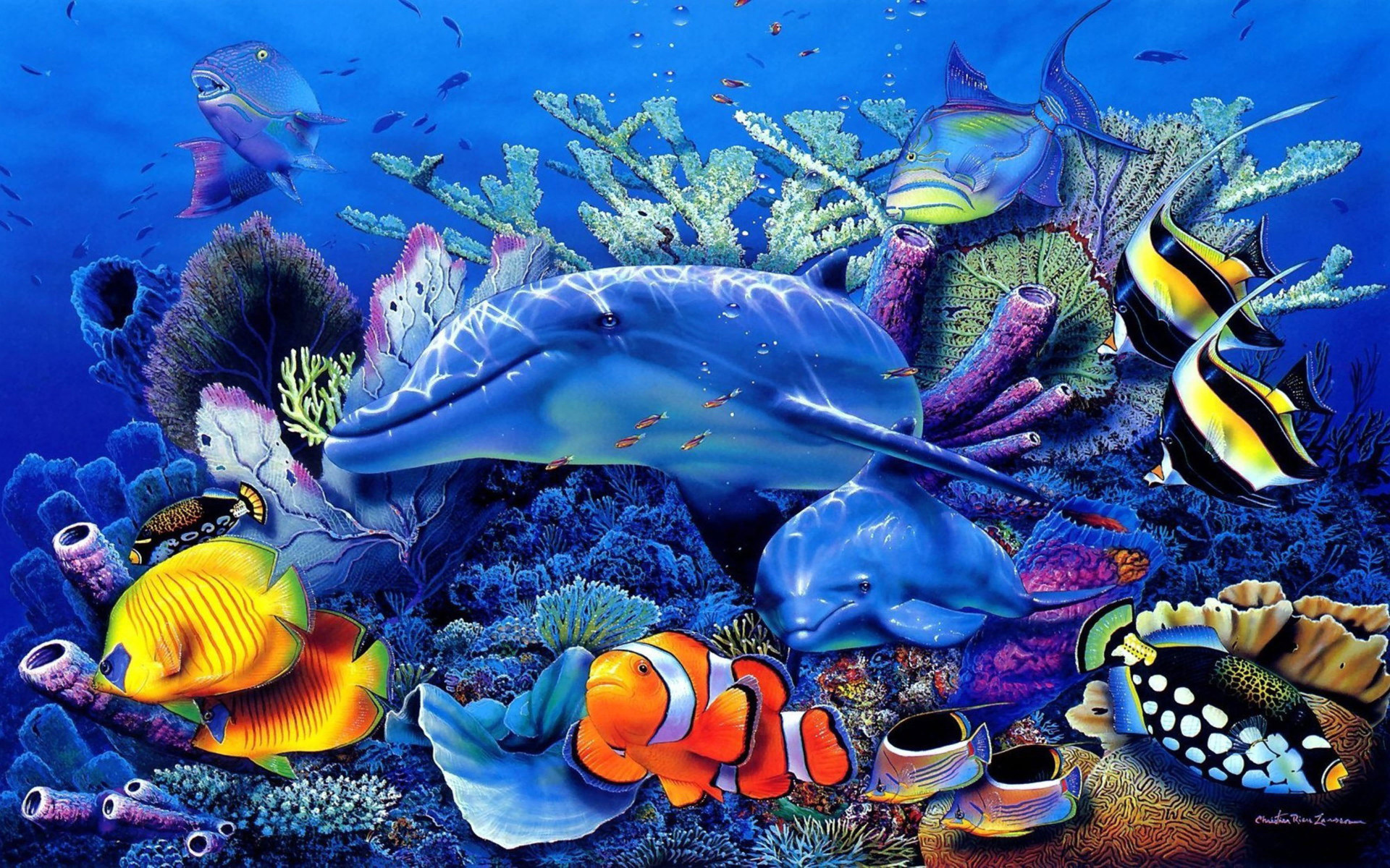 Tropical Underwater Wallpapers