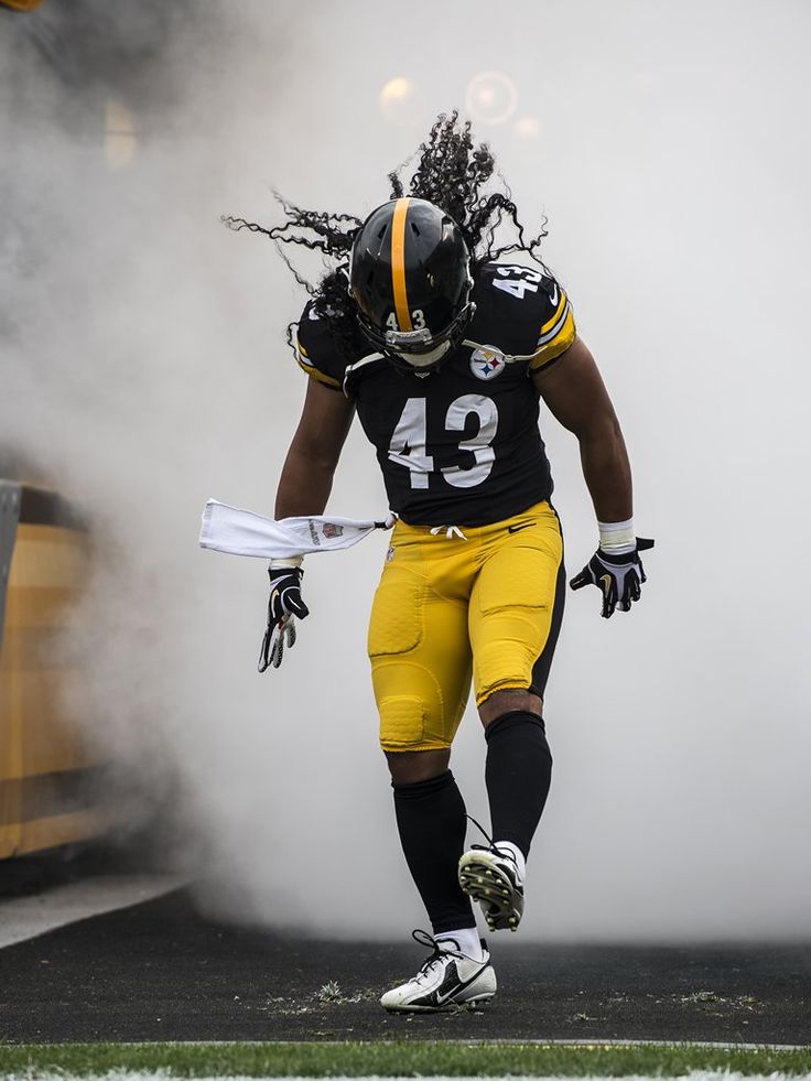 Troy Polamalu Wallpapers