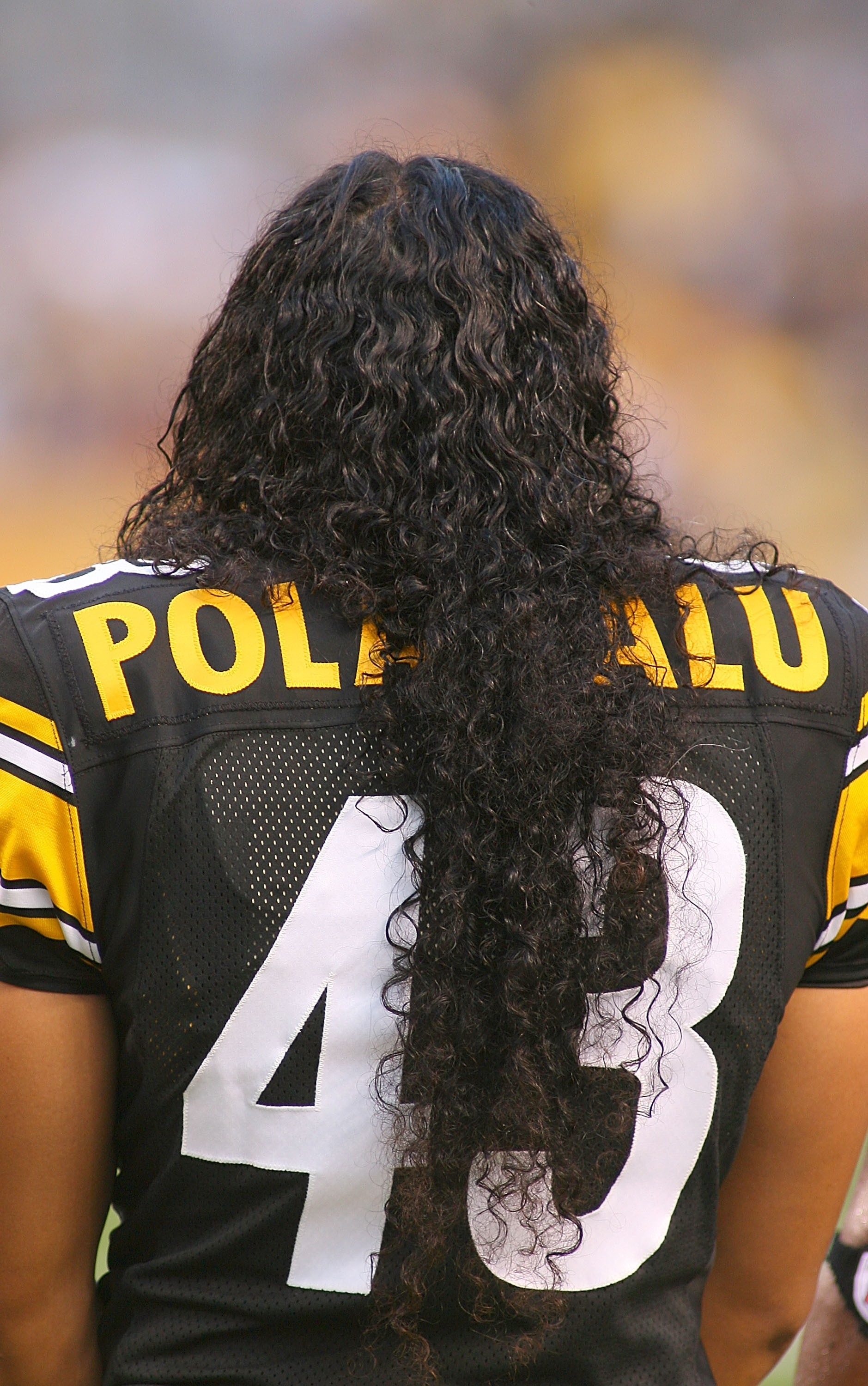 Troy Polamalu Wallpapers