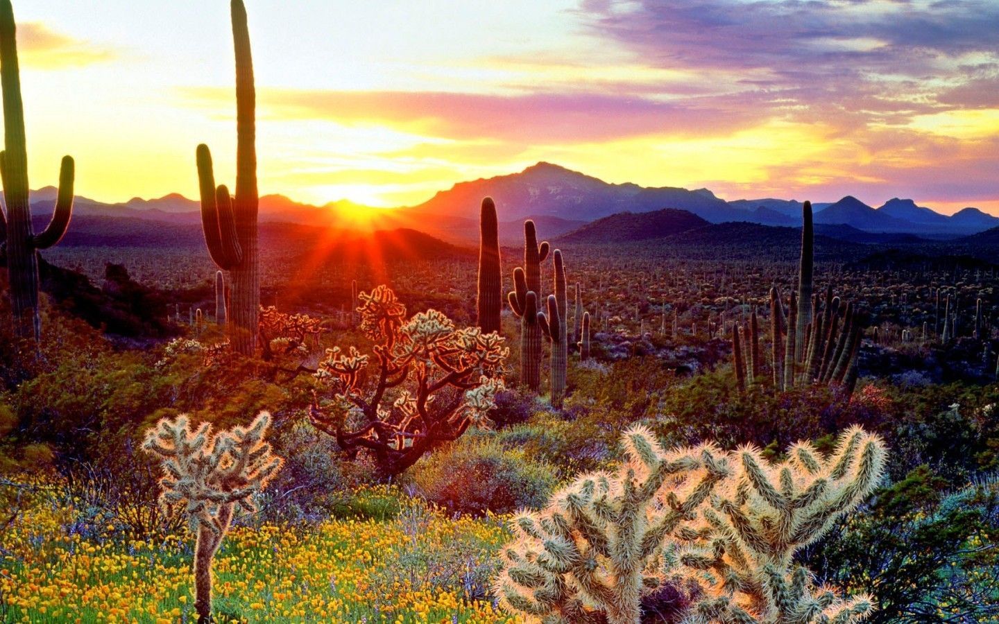 Tucson Arizona Wallpapers