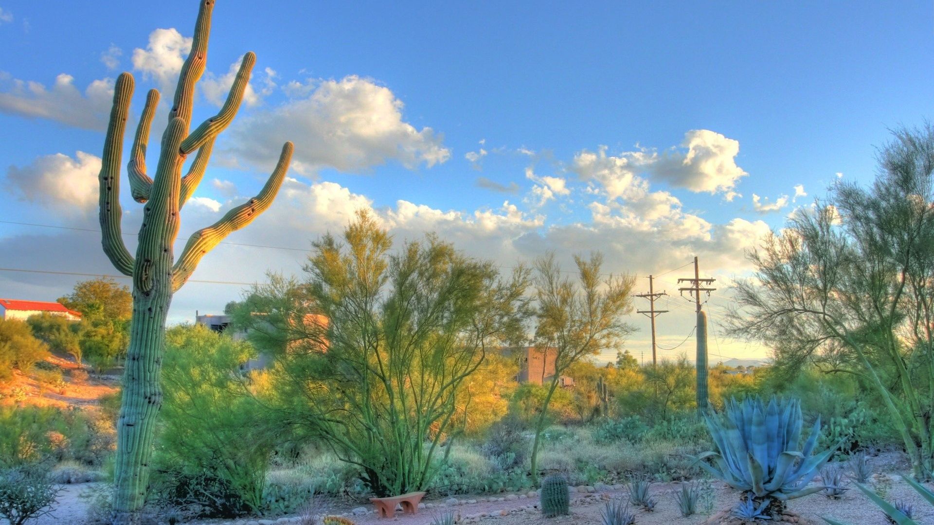 Tucson Arizona Wallpapers