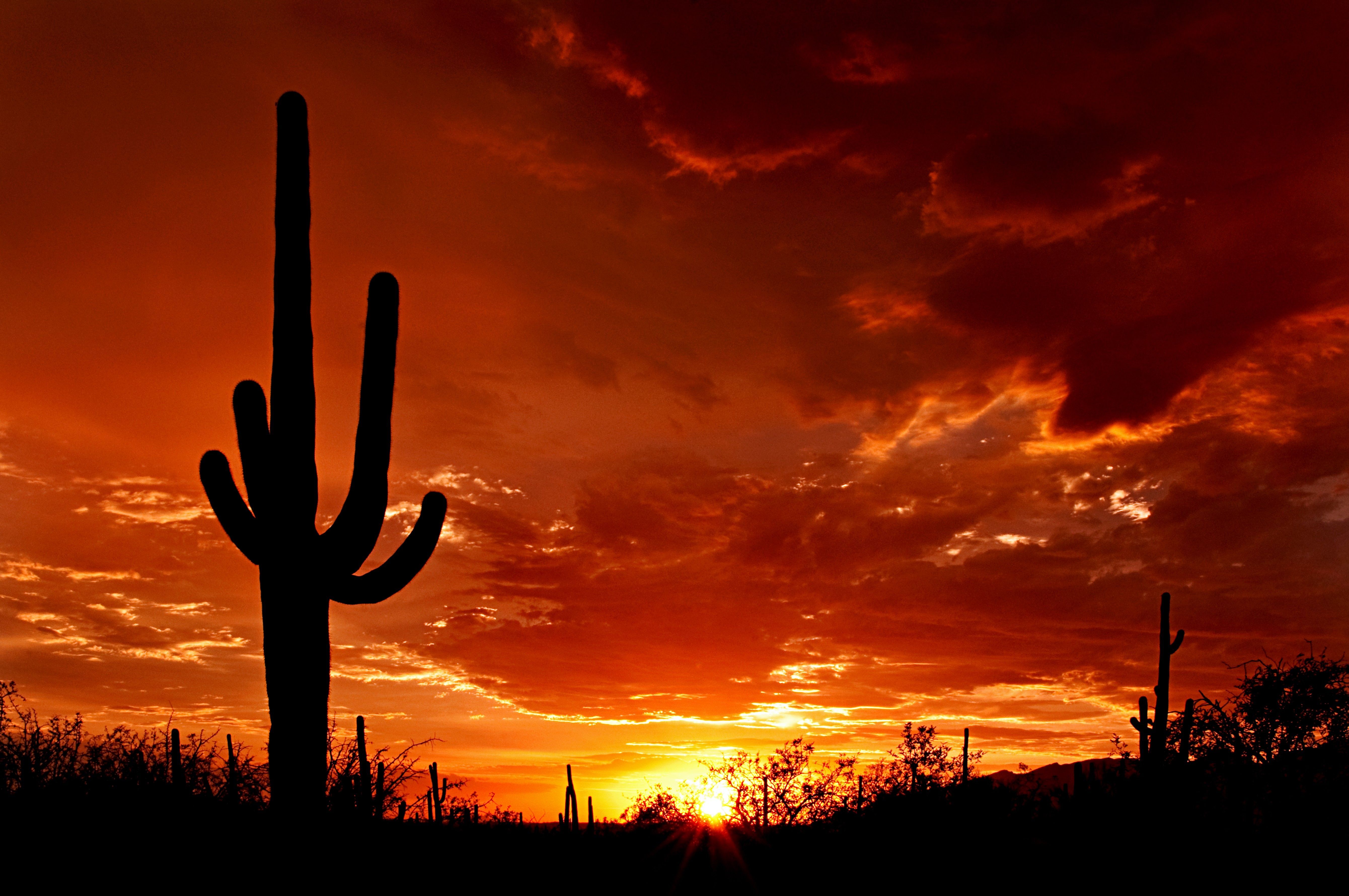 Tucson Arizona Wallpapers