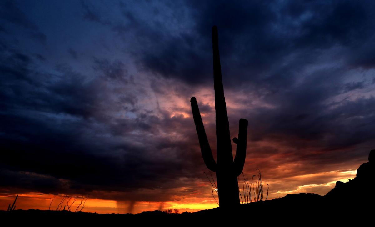 Tucson Sunset Wallpapers