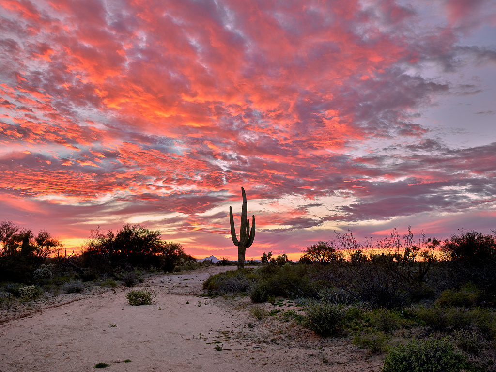 Tucson Sunset Wallpapers