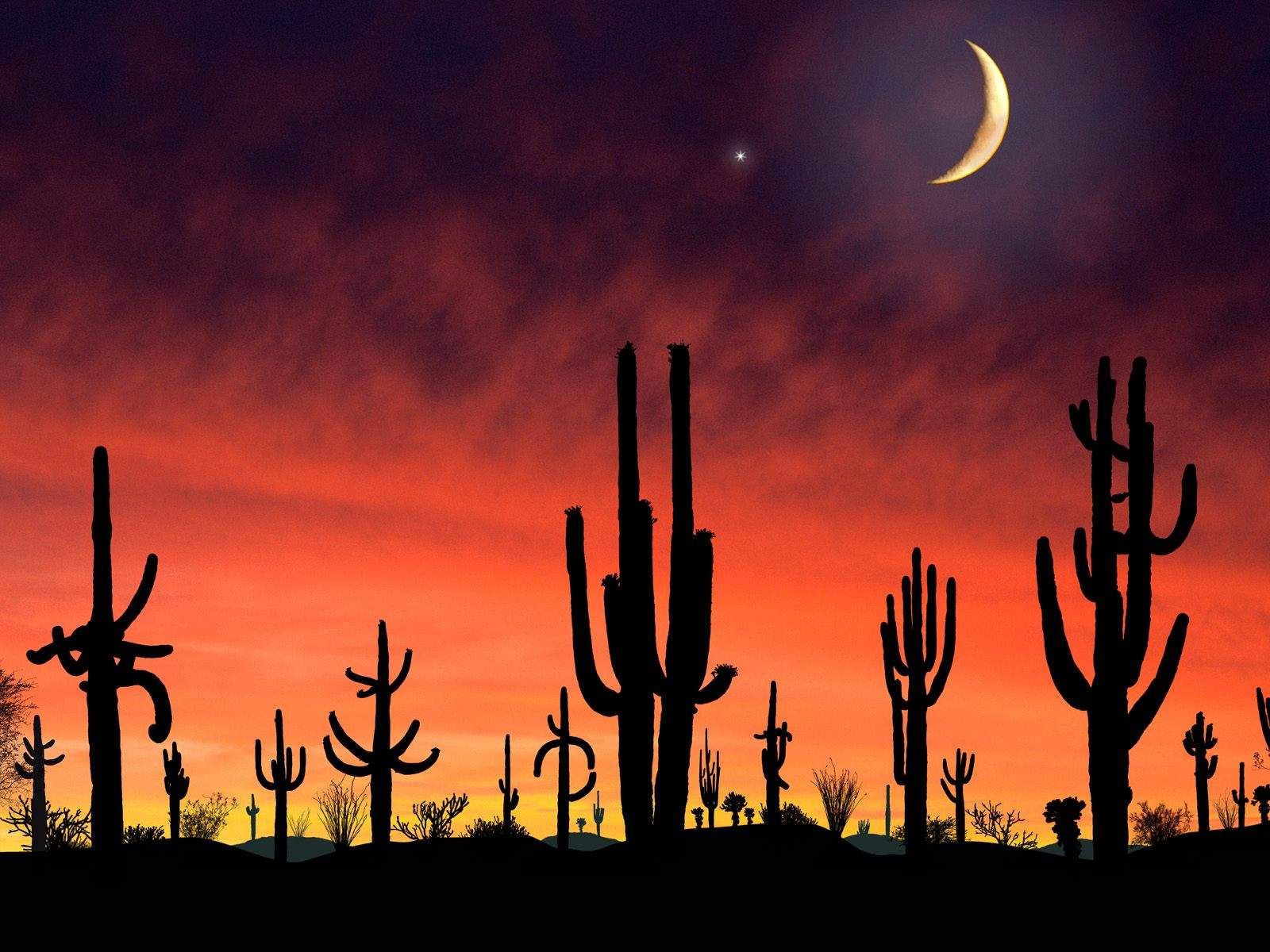 Tucson Sunset Wallpapers