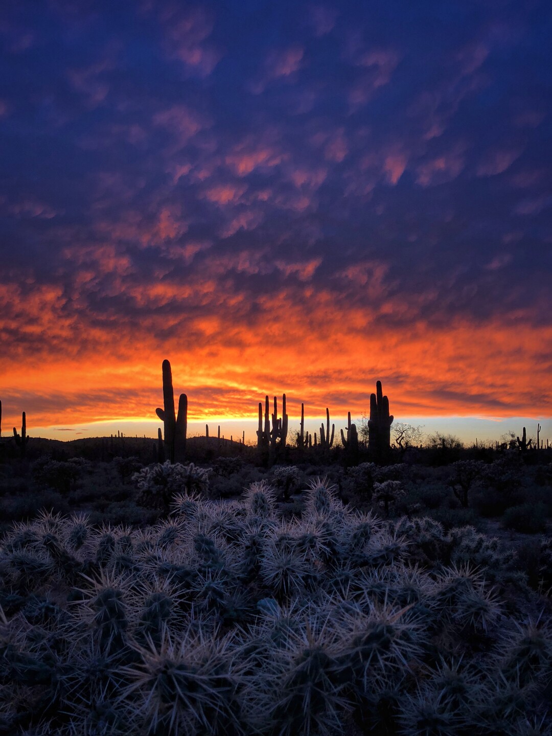 Tucson Sunset Wallpapers