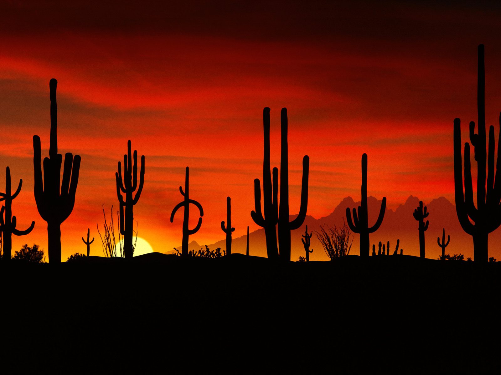 Tucson Sunset Wallpapers