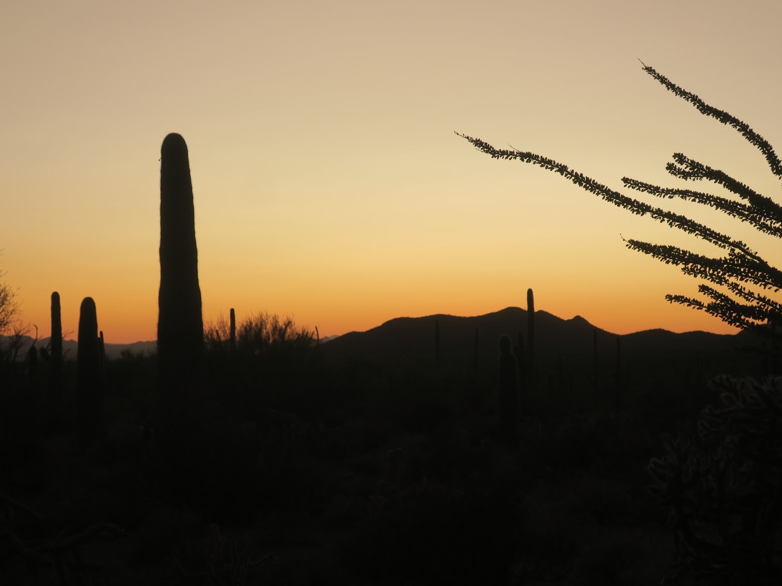 Tucson Sunset Wallpapers