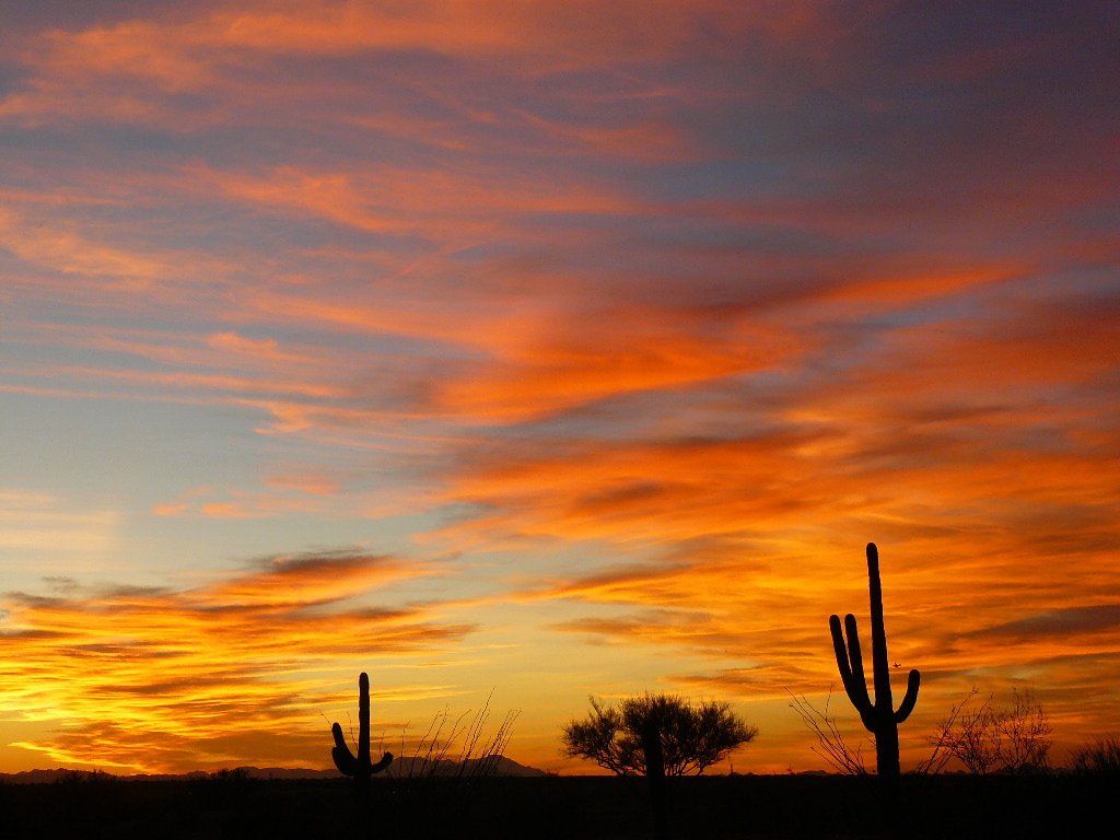 Tucson Sunset Wallpapers