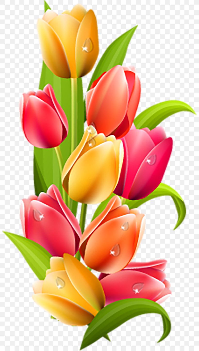 Tulip Desktop Wallpapers