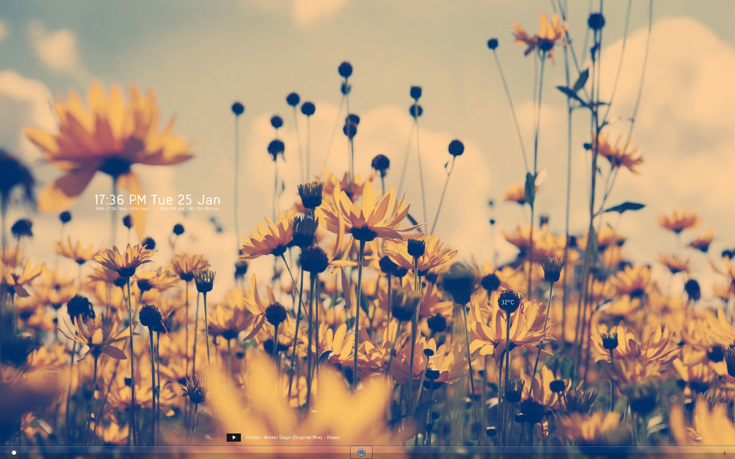 Tumblr Flower Wallpapers