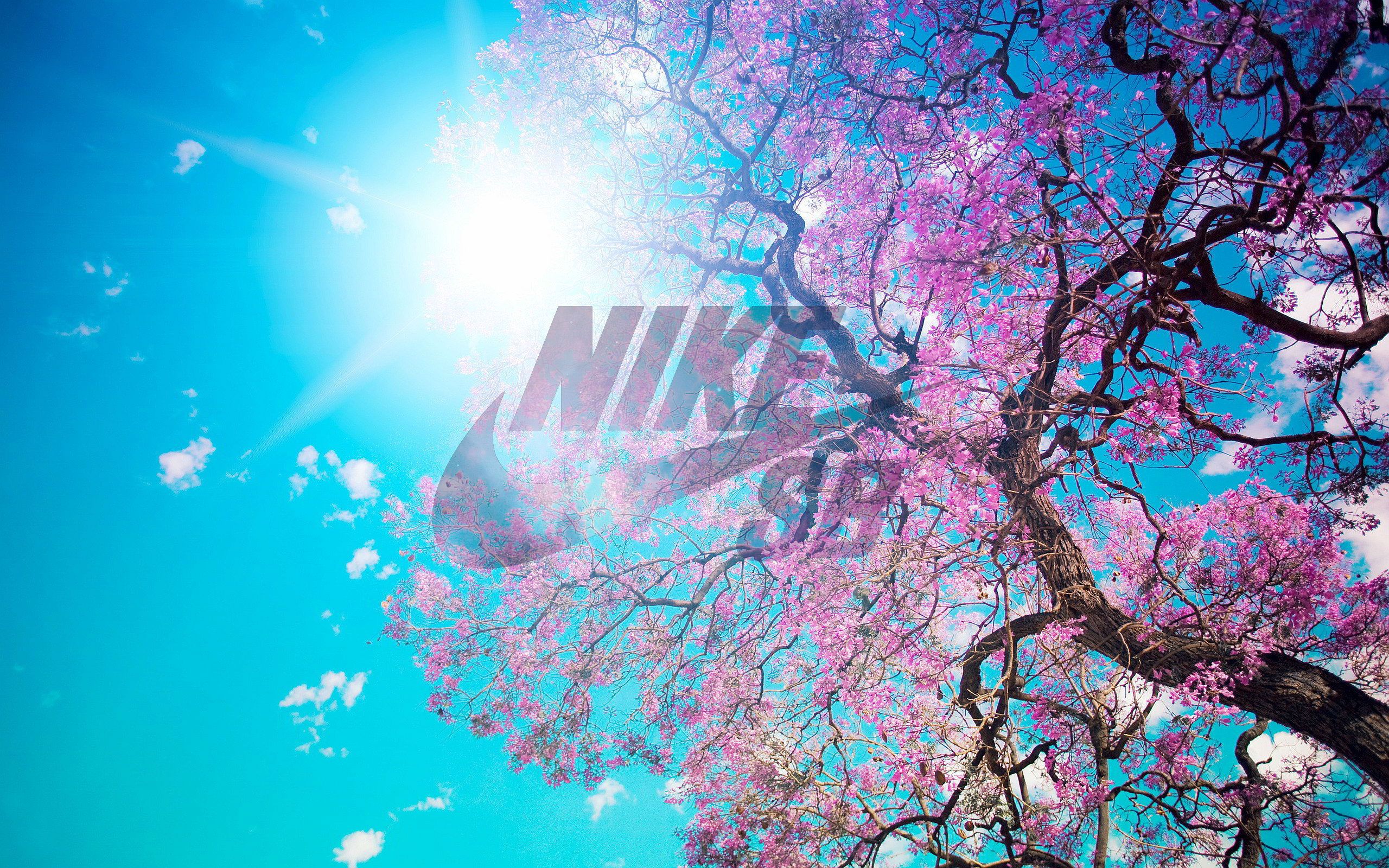 Tumblr Nikes Wallpapers