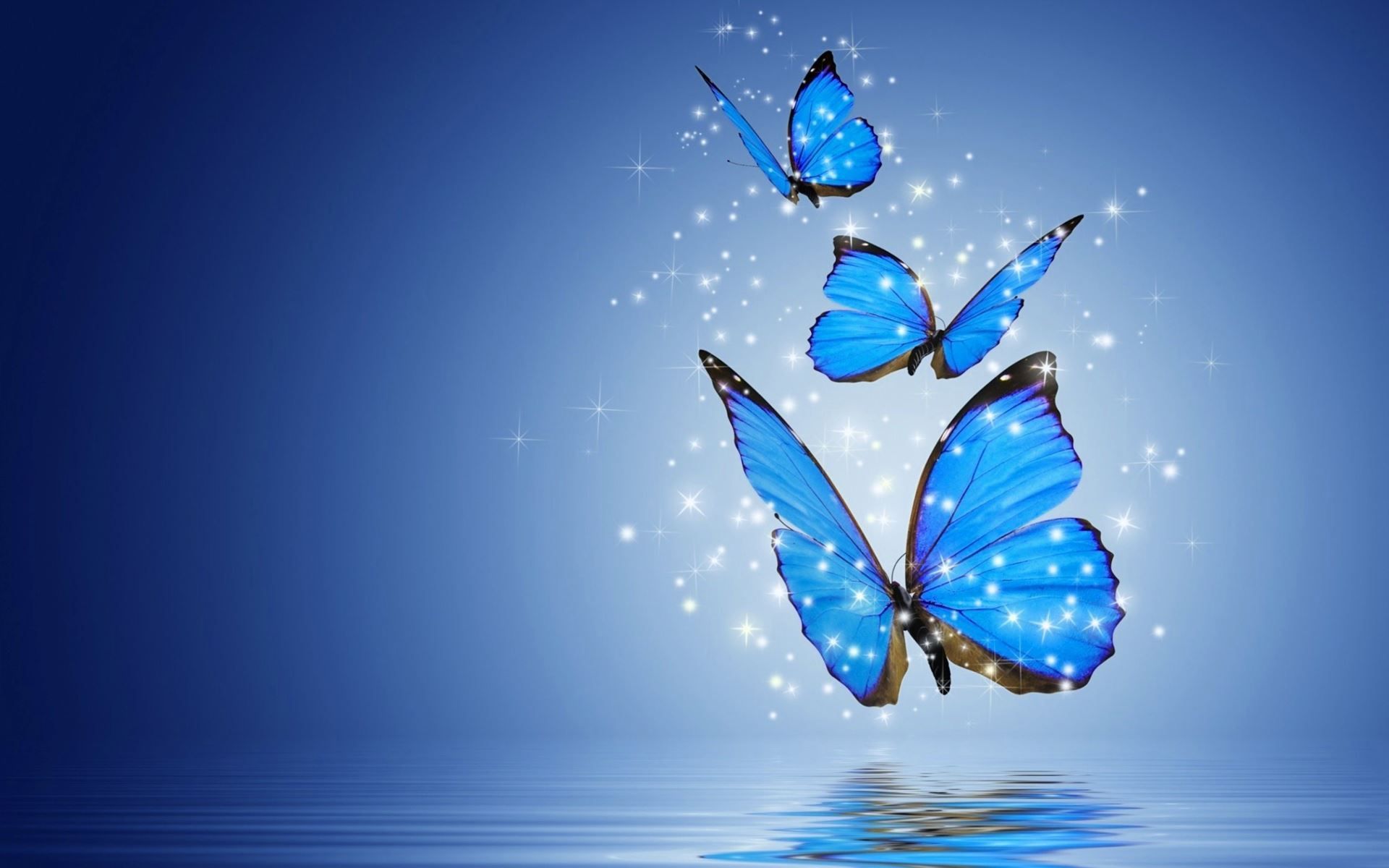 Turquoise Butterfly Wallpapers