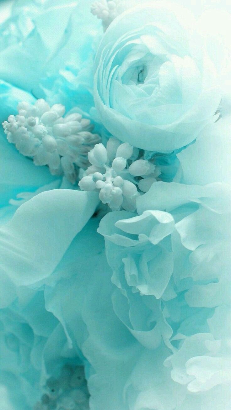 Turquoise Floral Wallpapers