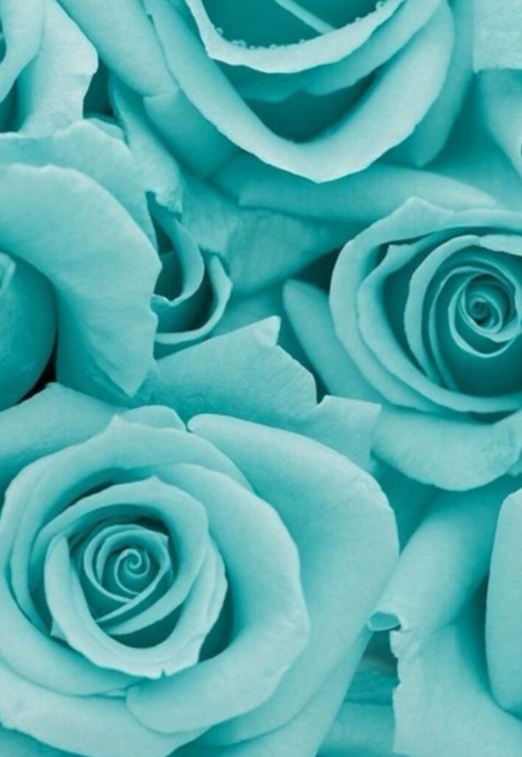 Turquoise Floral Wallpapers