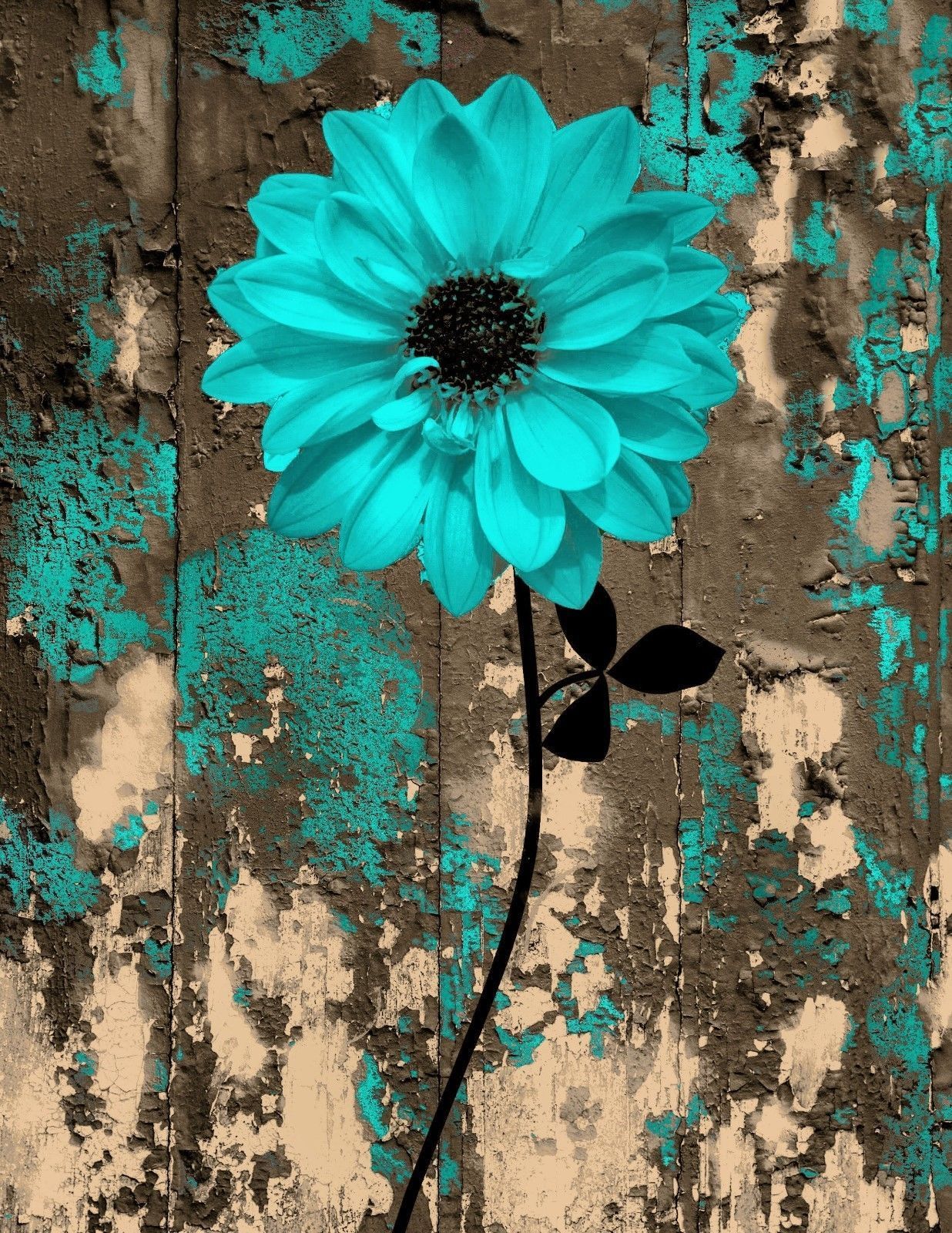 Turquoise Floral Wallpapers
