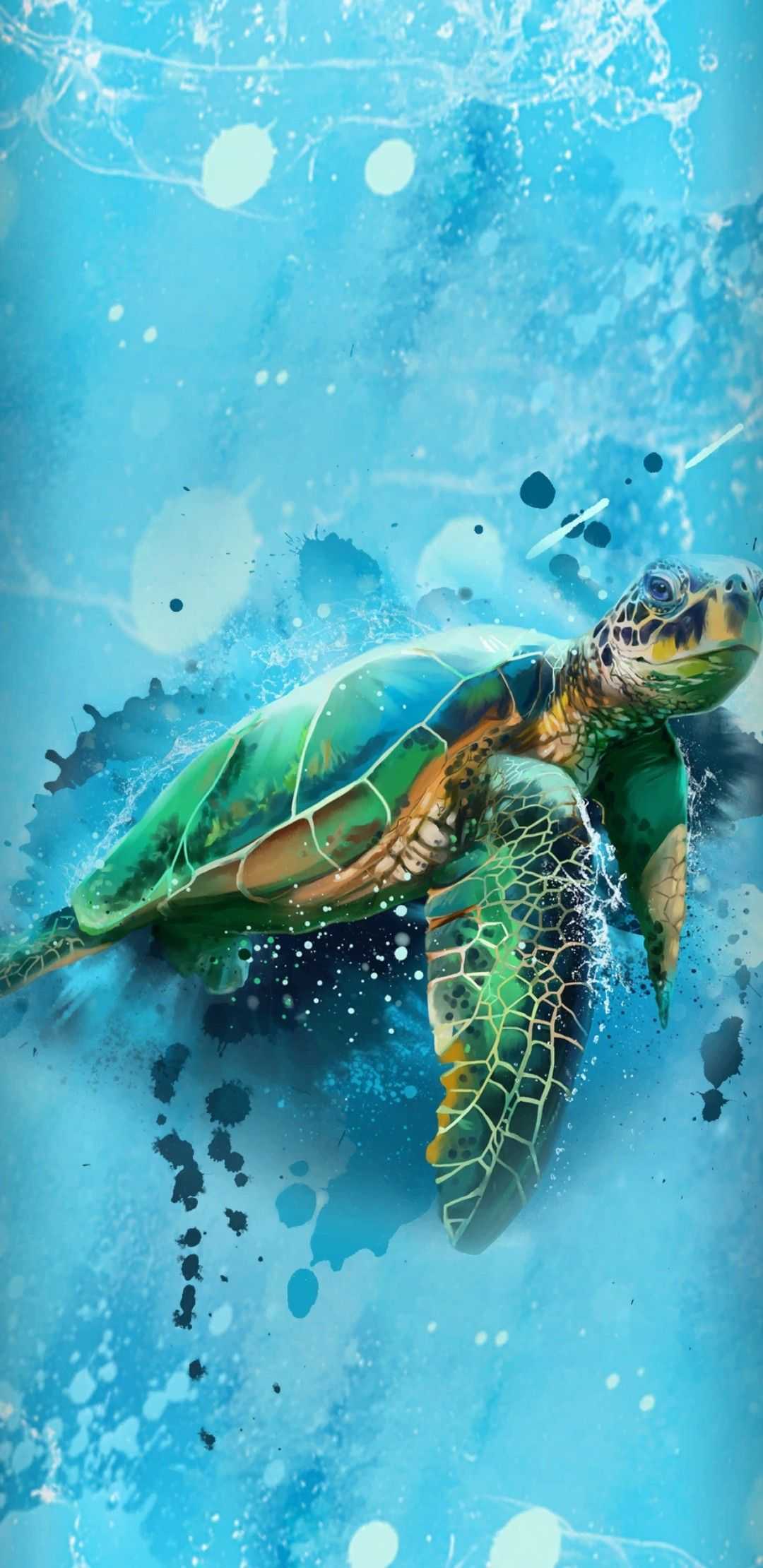 Turtle Iphone Wallpapers