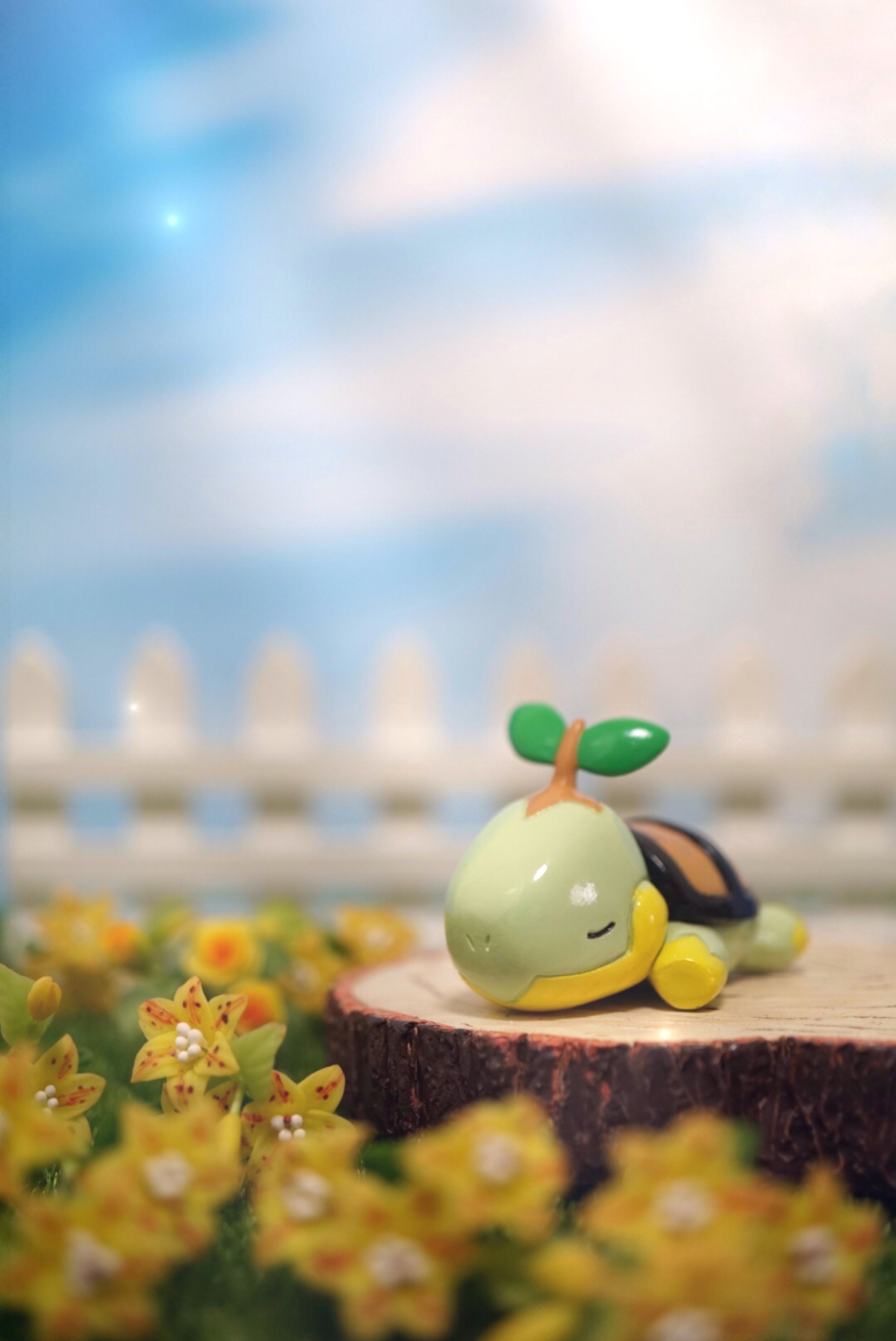 Turtwig Wallpapers