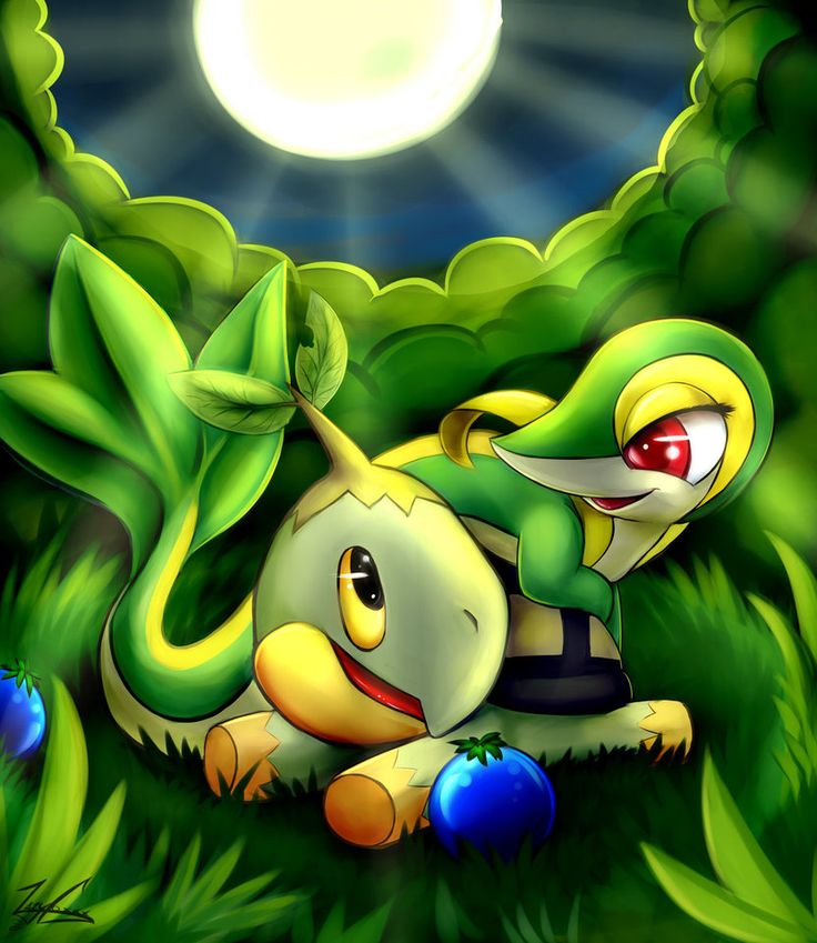 Turtwig Wallpapers