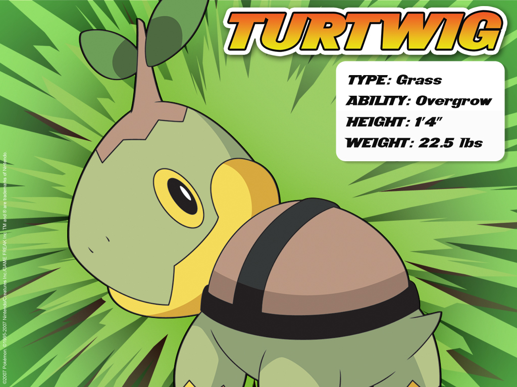 Turtwig Wallpapers