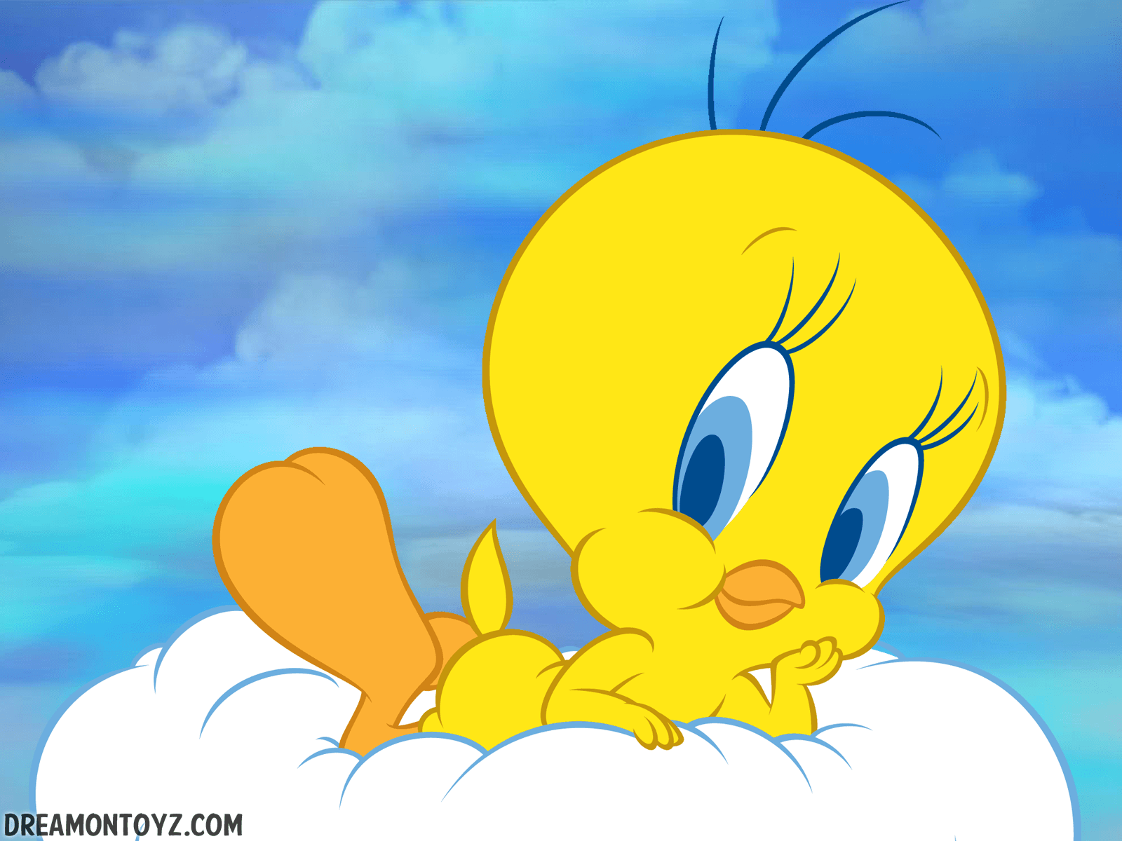 Tweety Bird Wallpapers