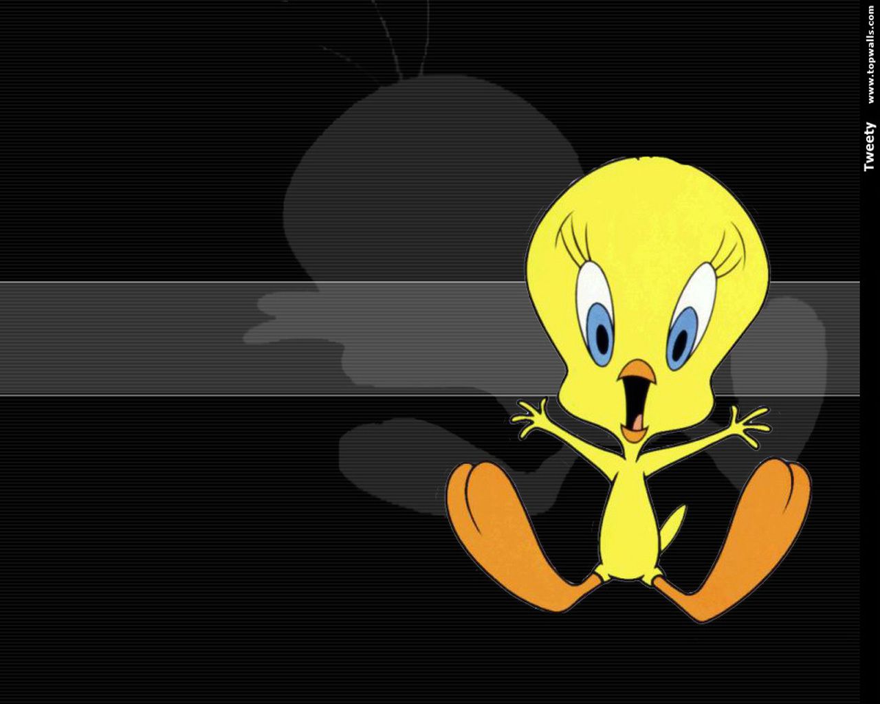 Tweety Bird Wallpapers