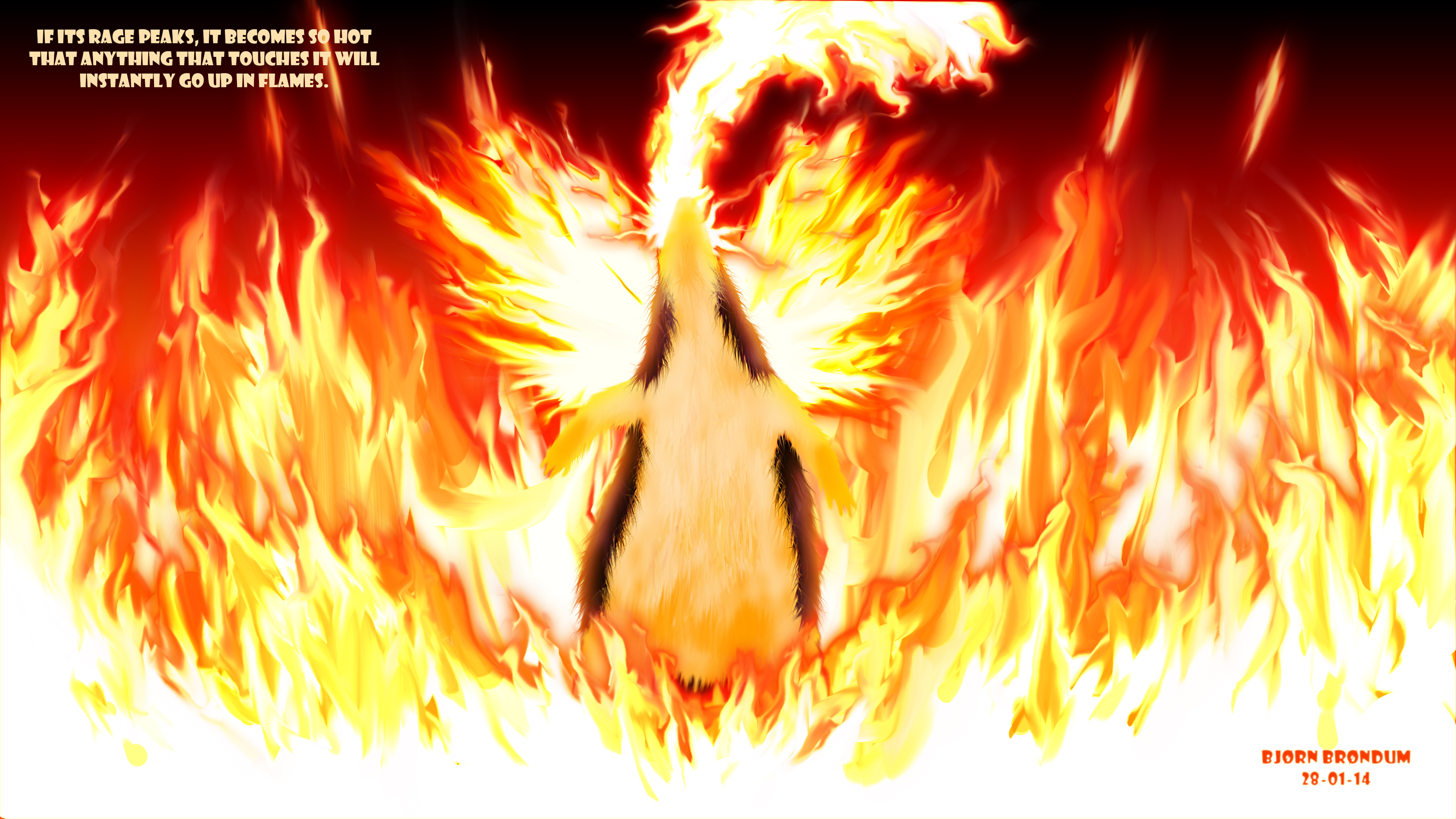 Typhlosion Wallpapers