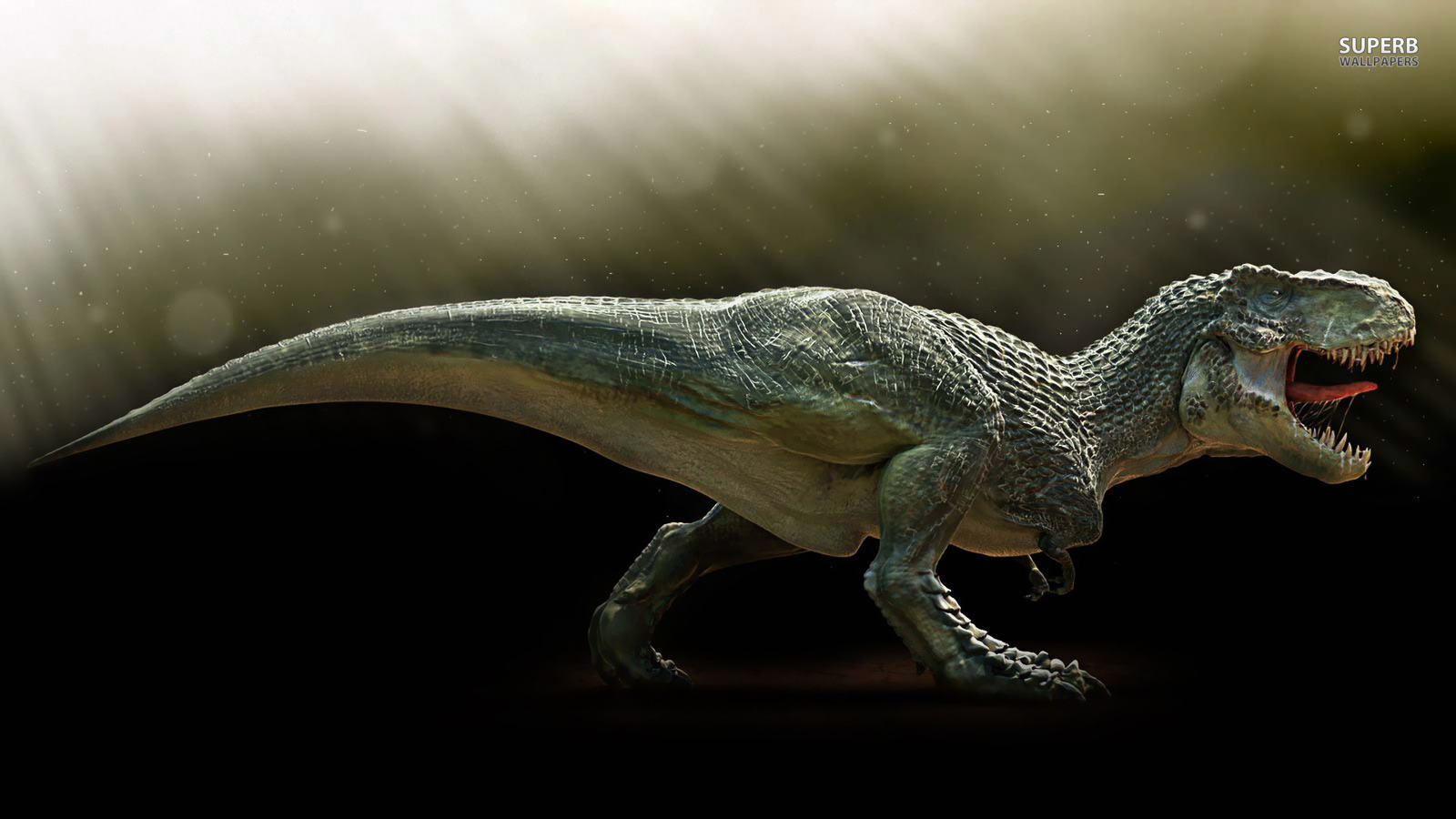 Tyrannosaurus Rex Wallpapers