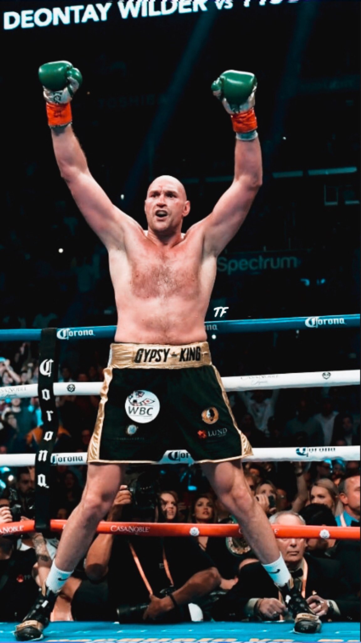 Tyson Fury Wallpapers