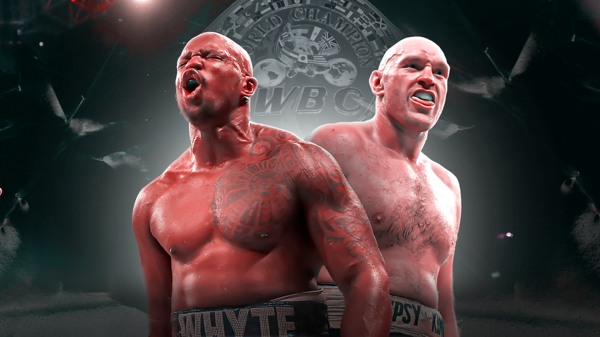 Tyson Fury Wallpapers